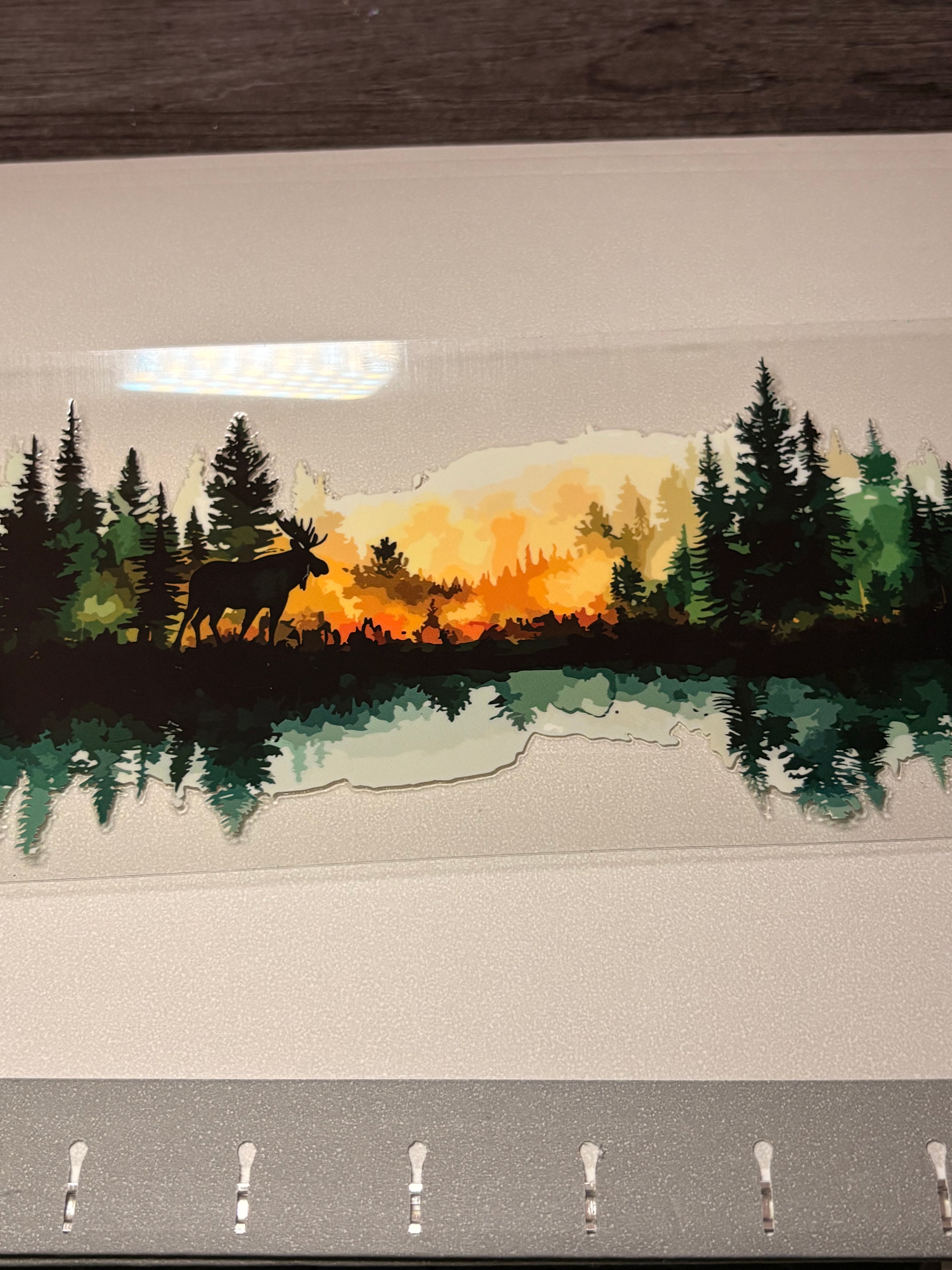 Animal/insect wraps🌵.