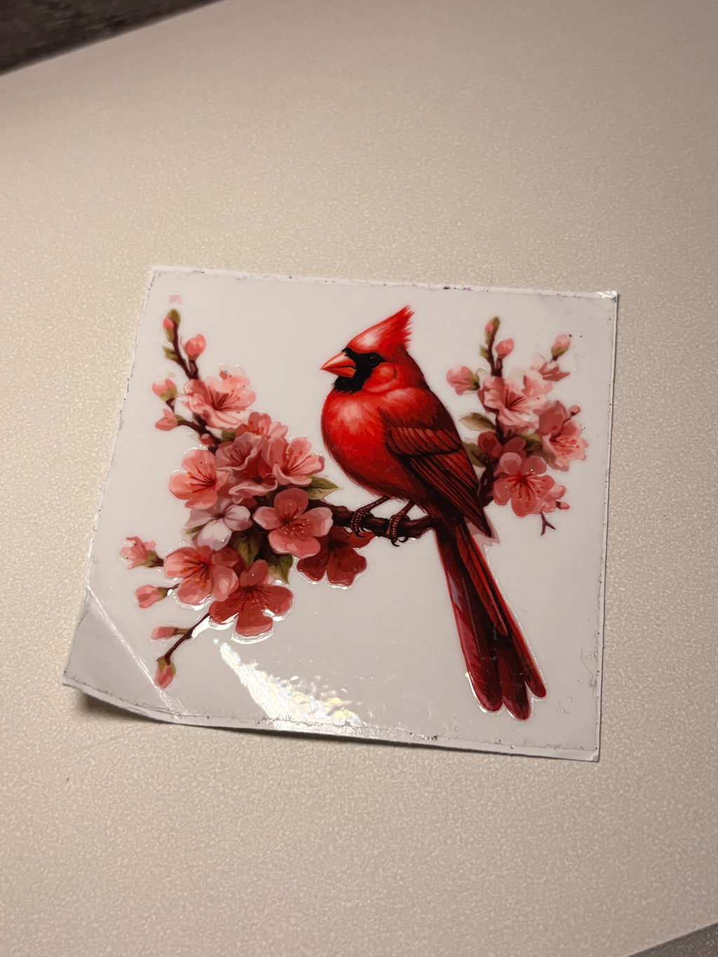 Animal/insect wraps🌵.