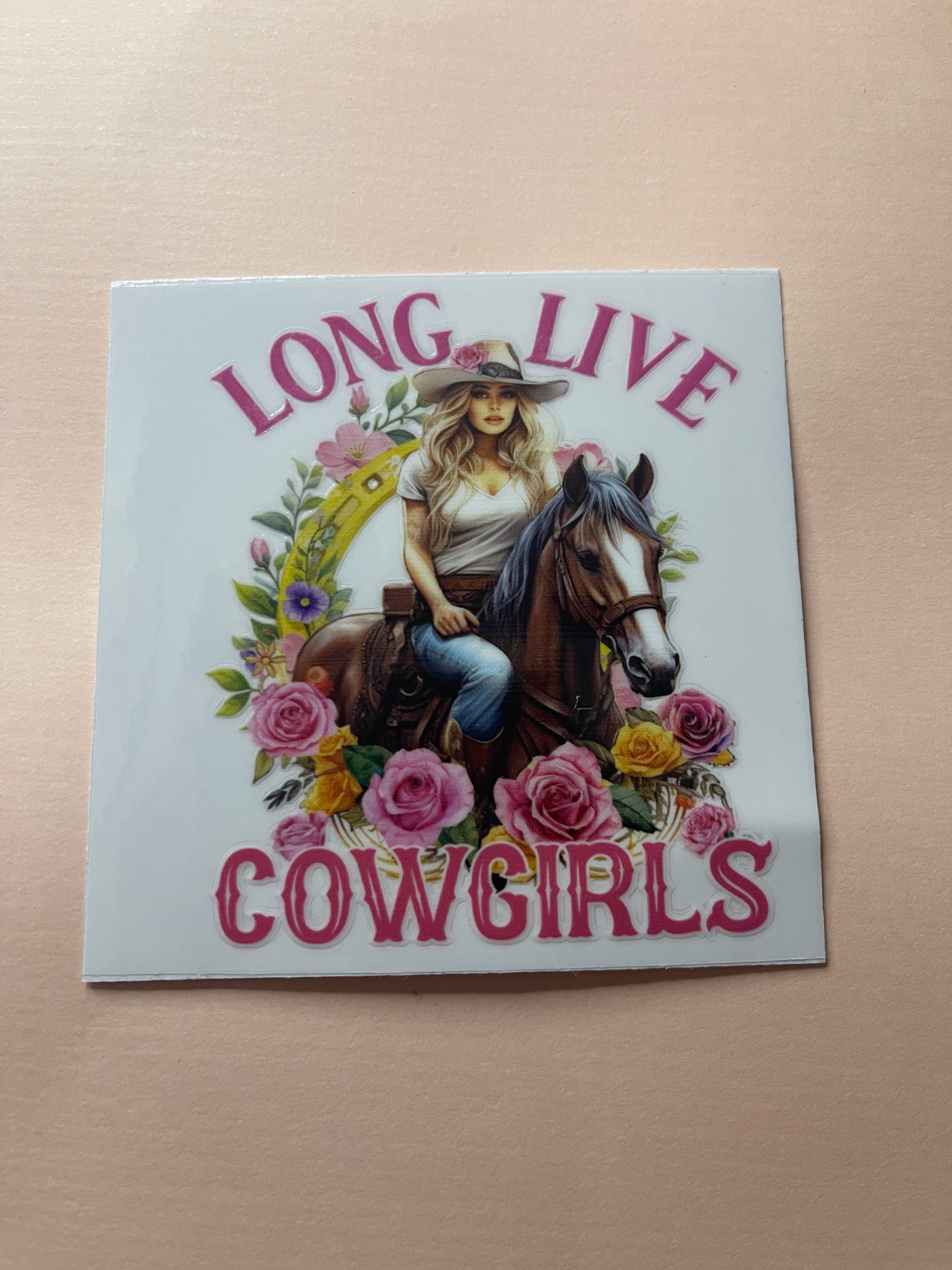 HORSE decals