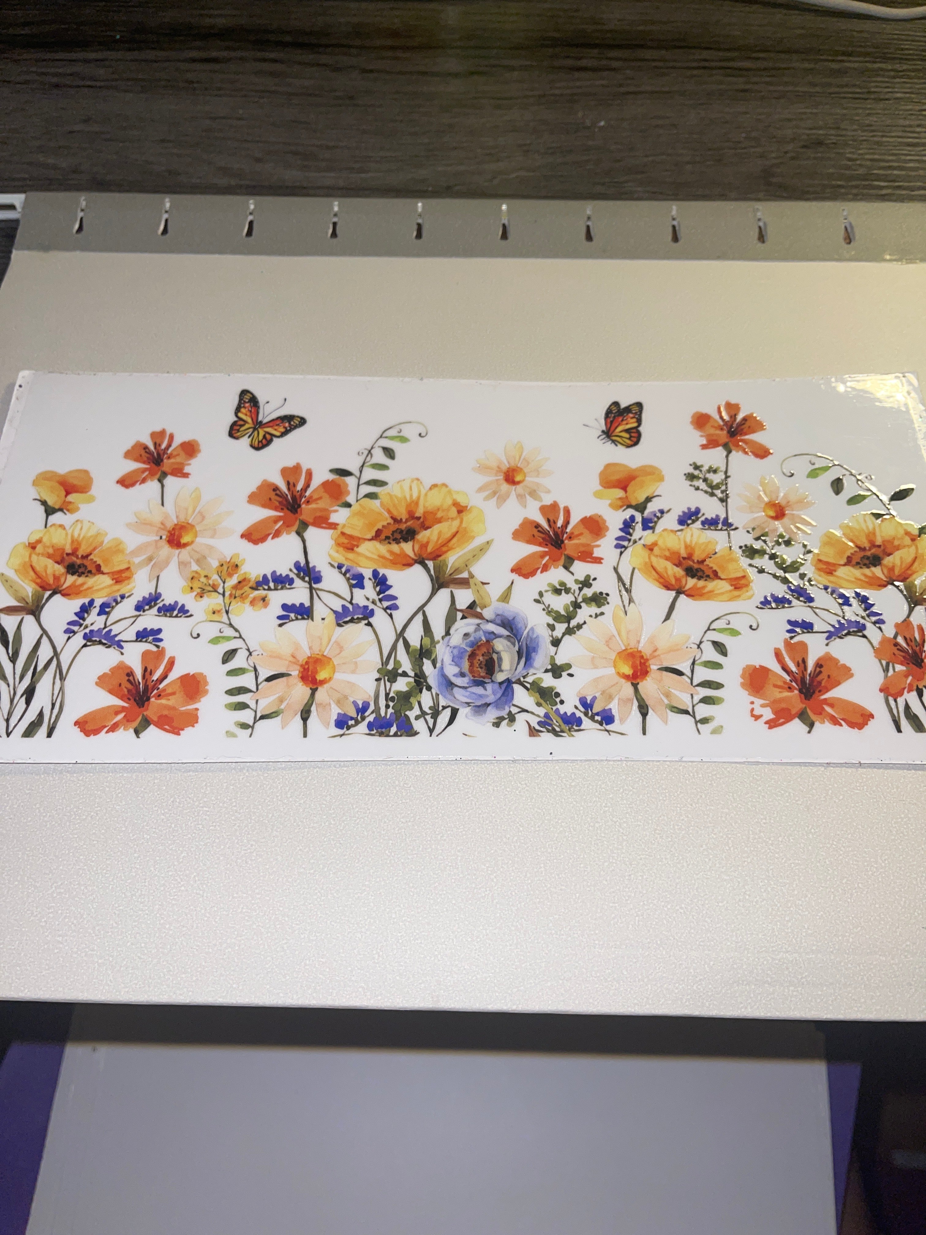 flowers/gnomes/fairy