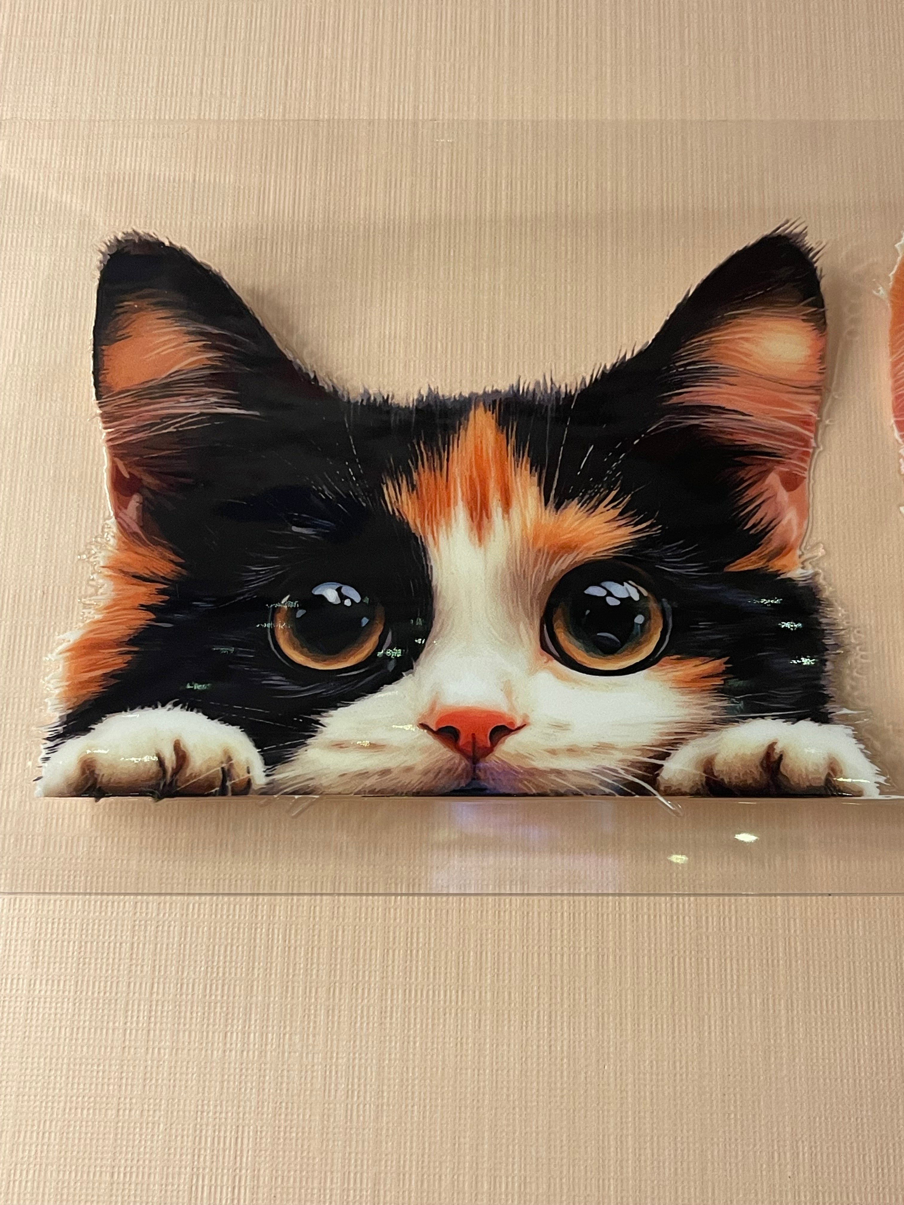 CAT decal