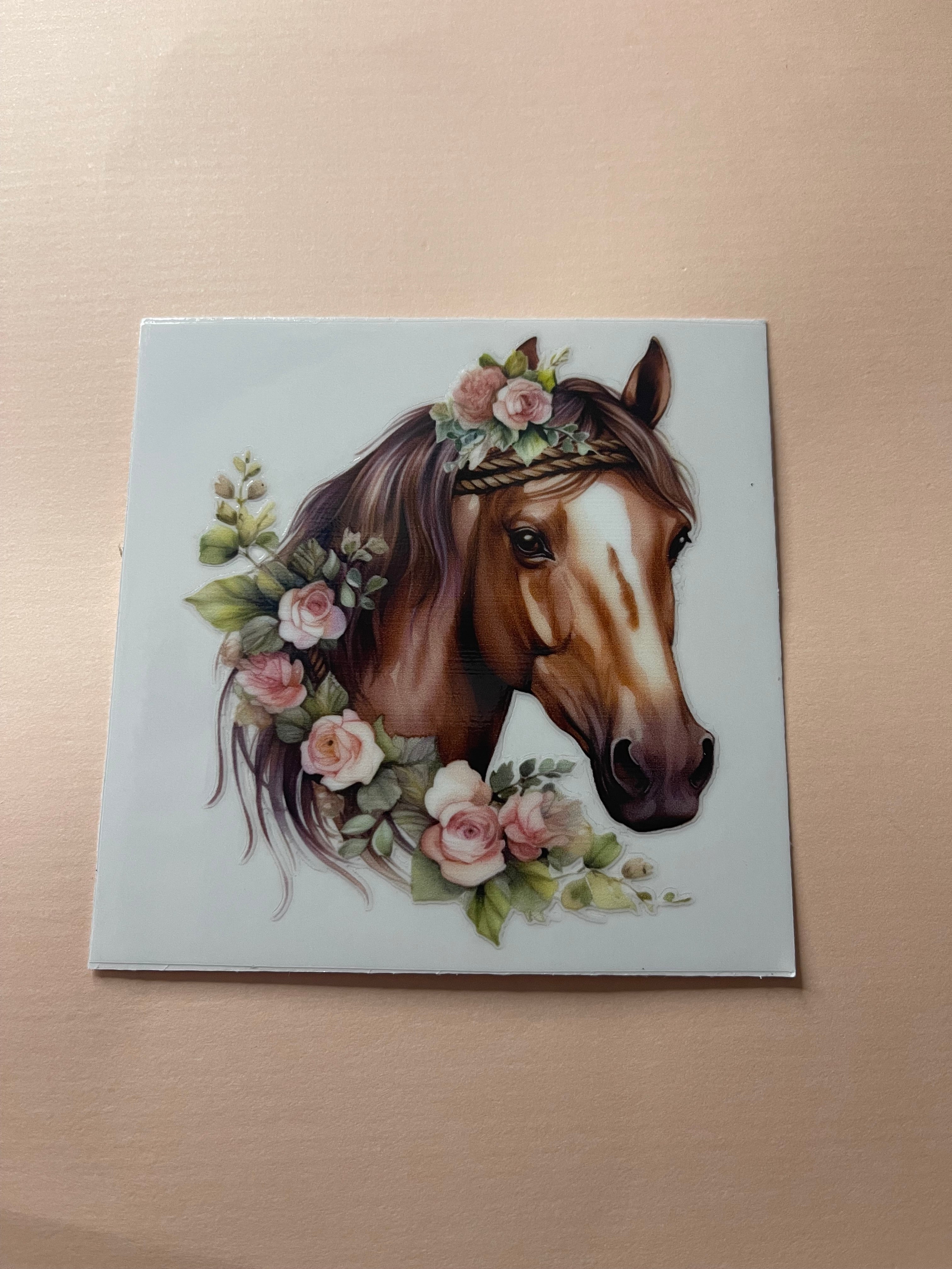 HORSE decals
