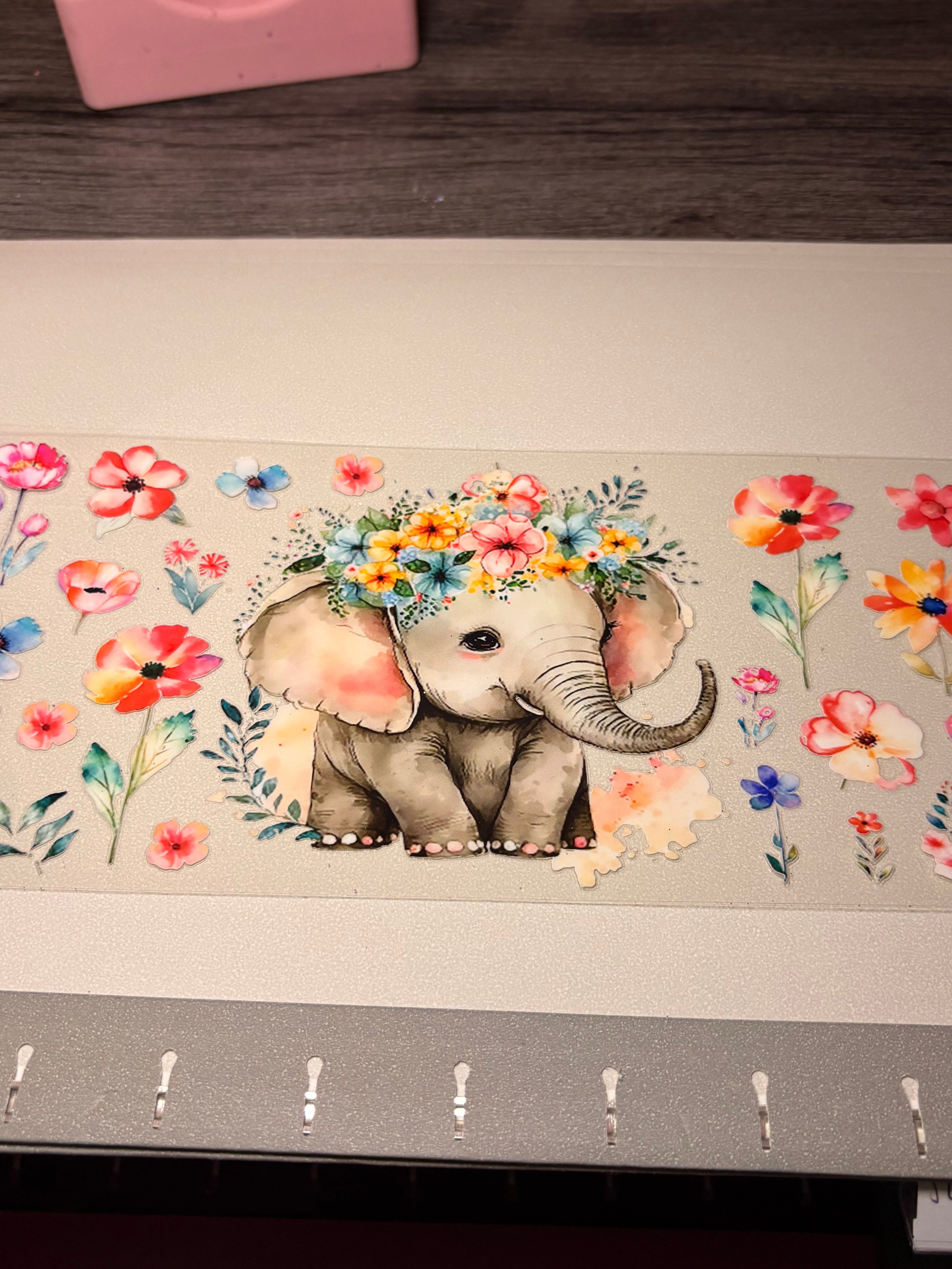 Animal/insect wraps🌵.