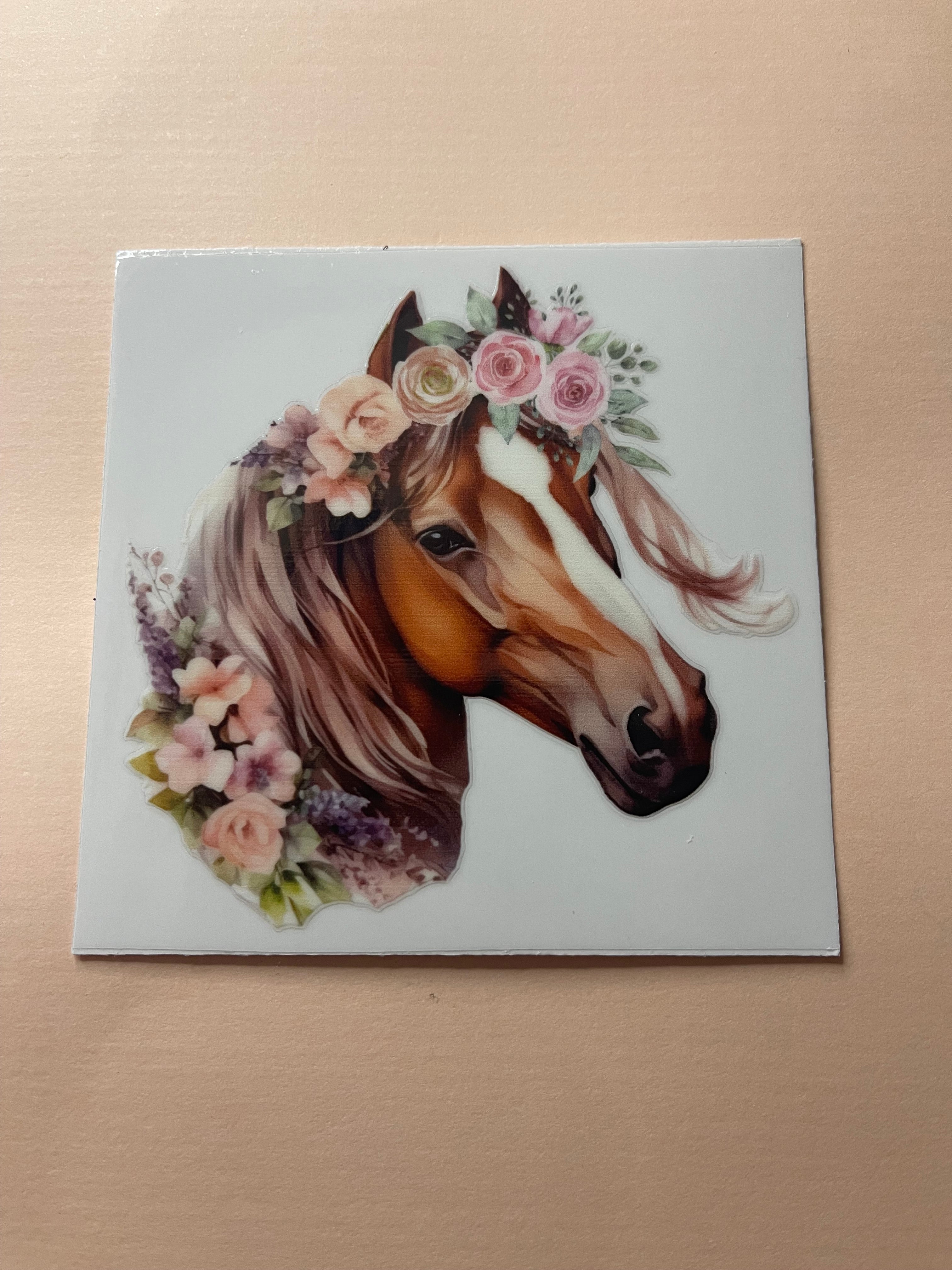 HORSE decals