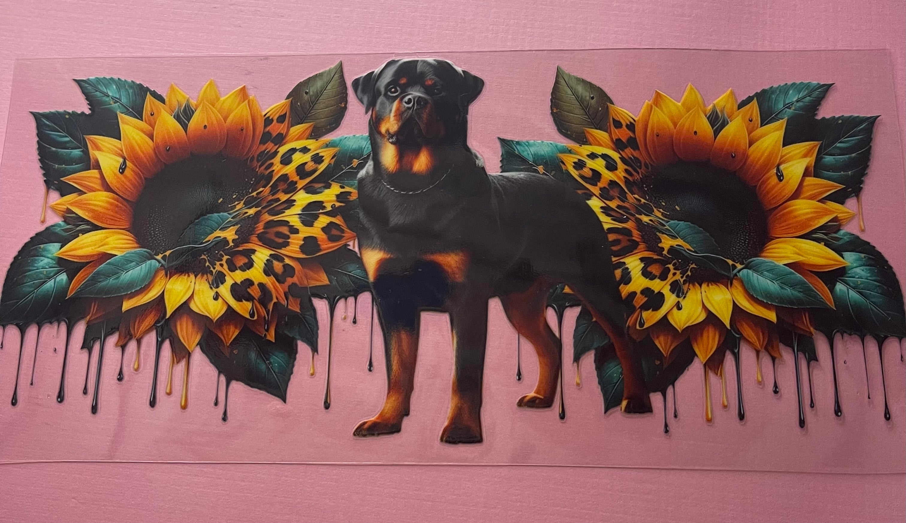 DOG wrap