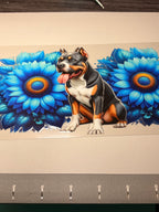 Animal/insect wraps🌵.