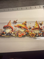 flowers/gnomes/fairy