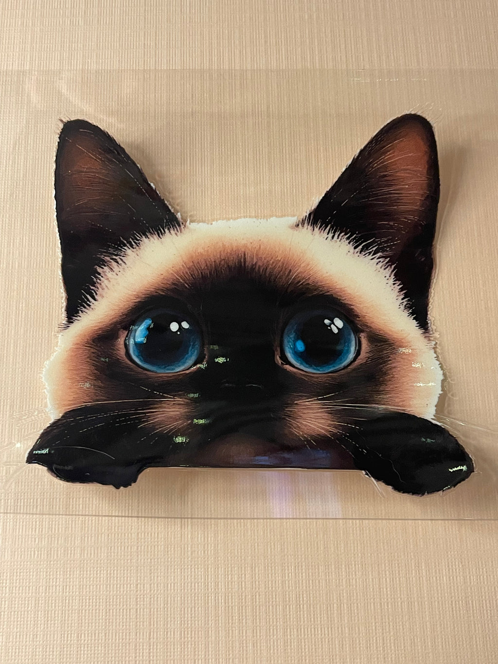 CAT decal