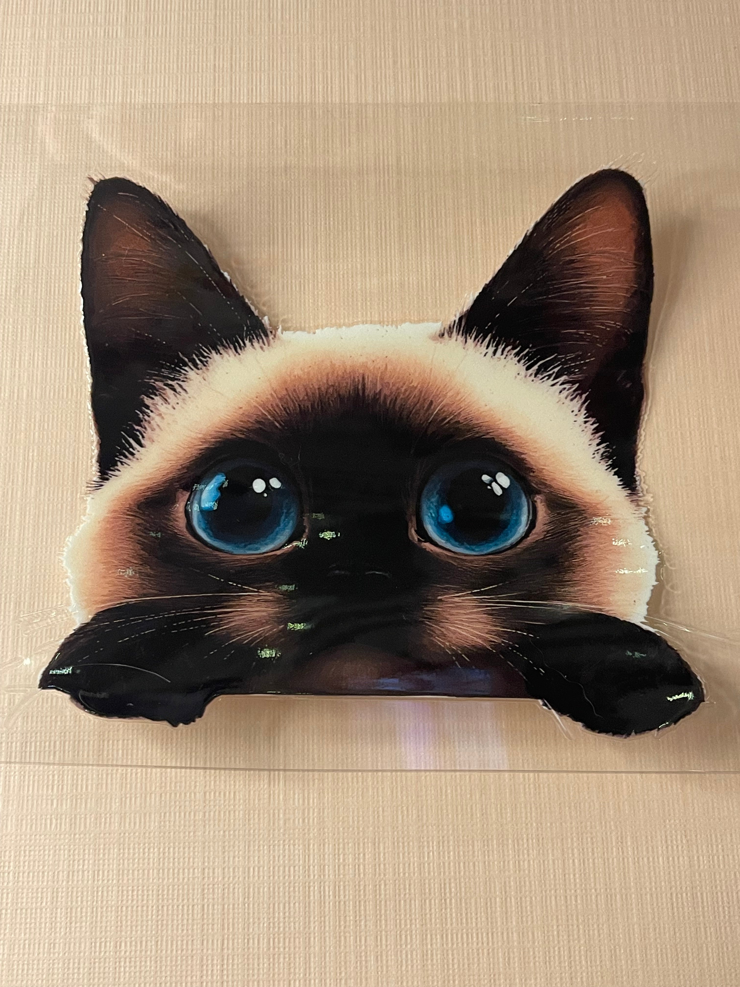 CAT decal