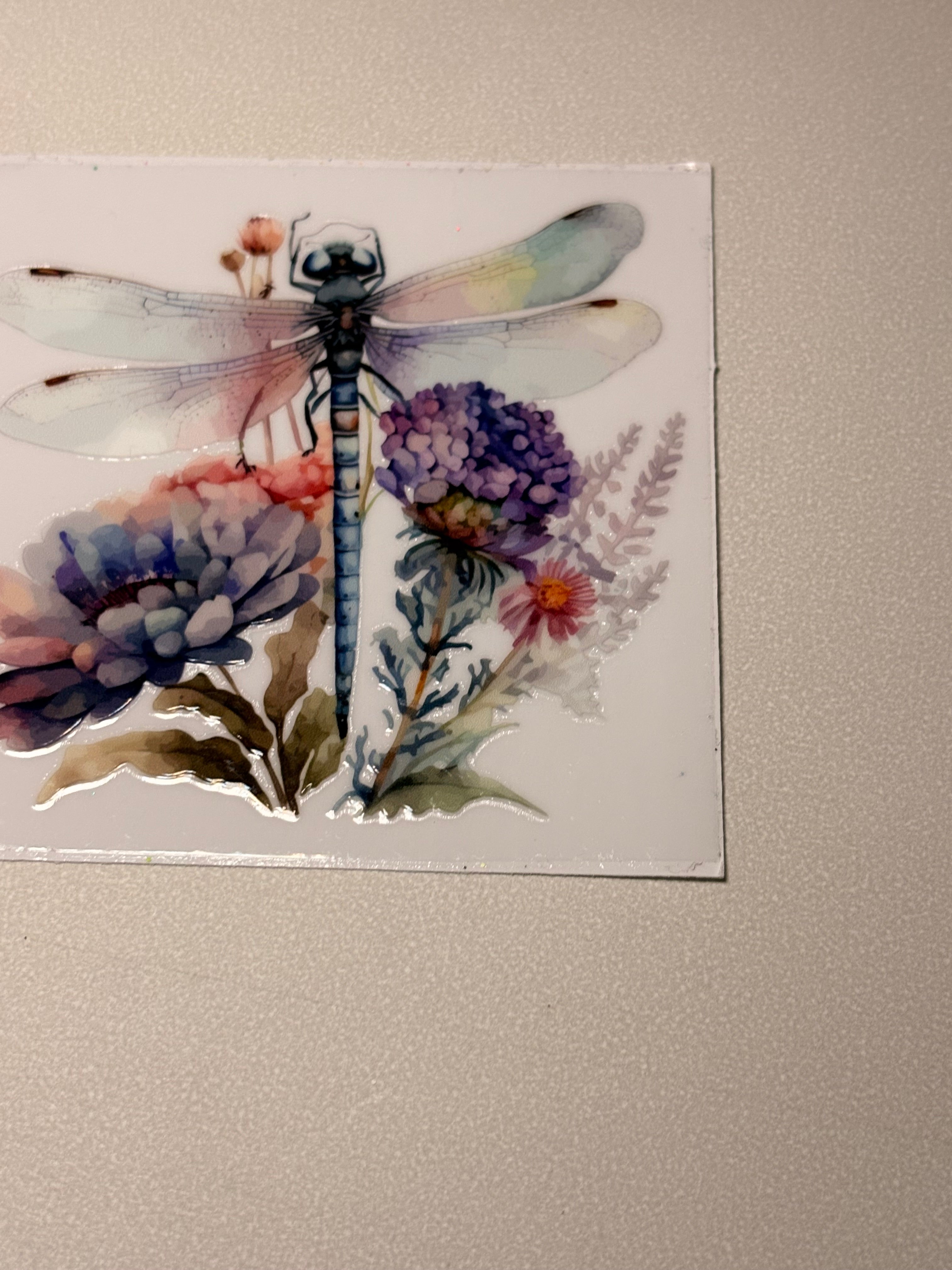 Animal/insect wraps🌵.