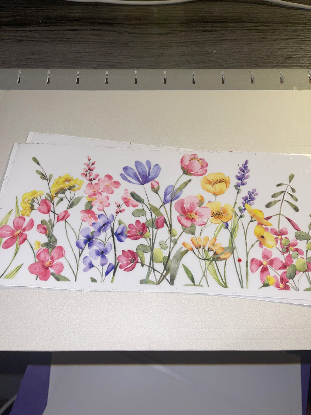 flowers/gnomes/fairy