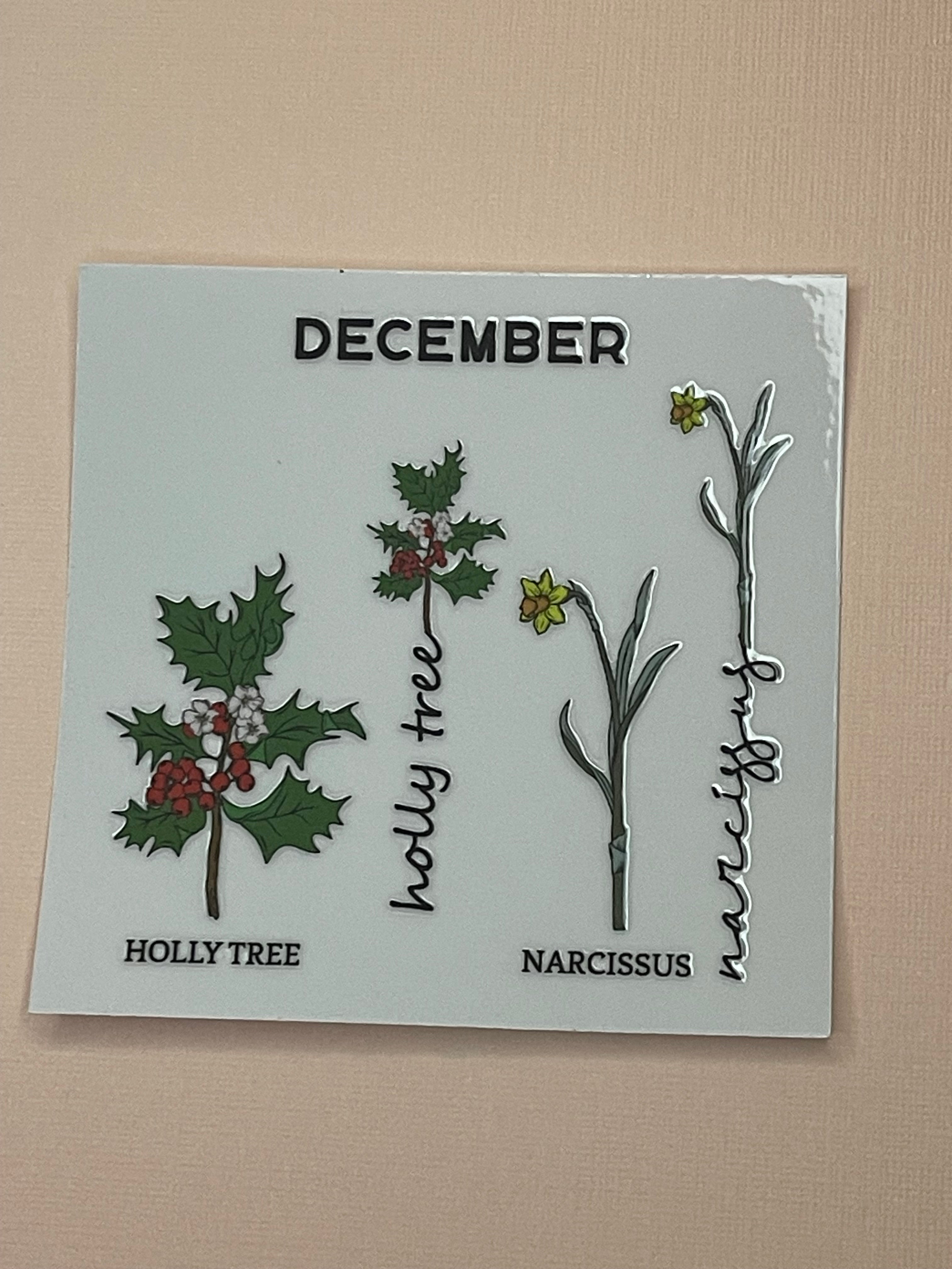 BIRTH MONTH decal
