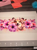 Animal/insect wraps🌵.