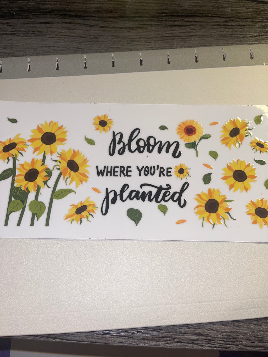 flowers/gnomes/fairy