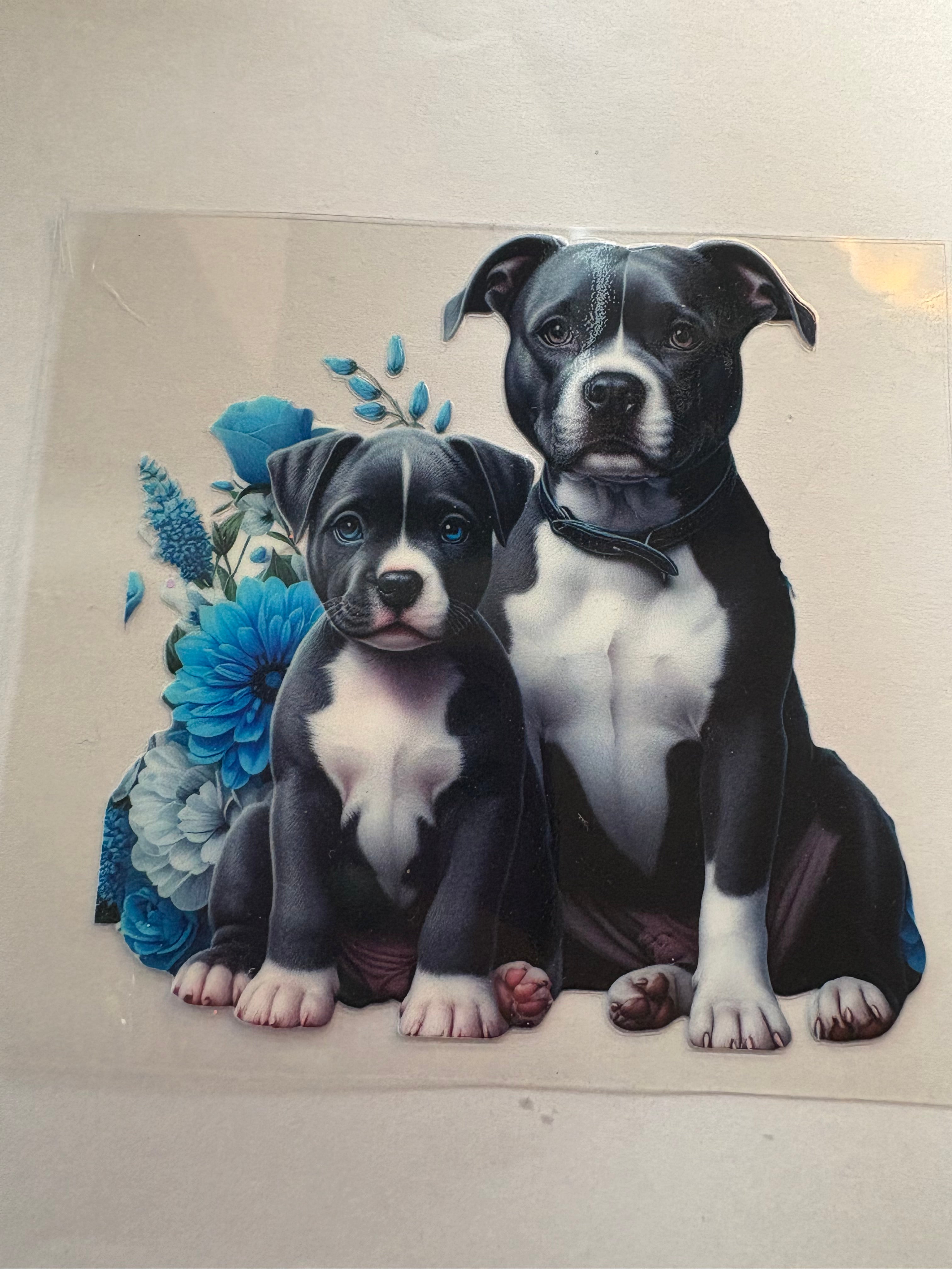 DOG wrap