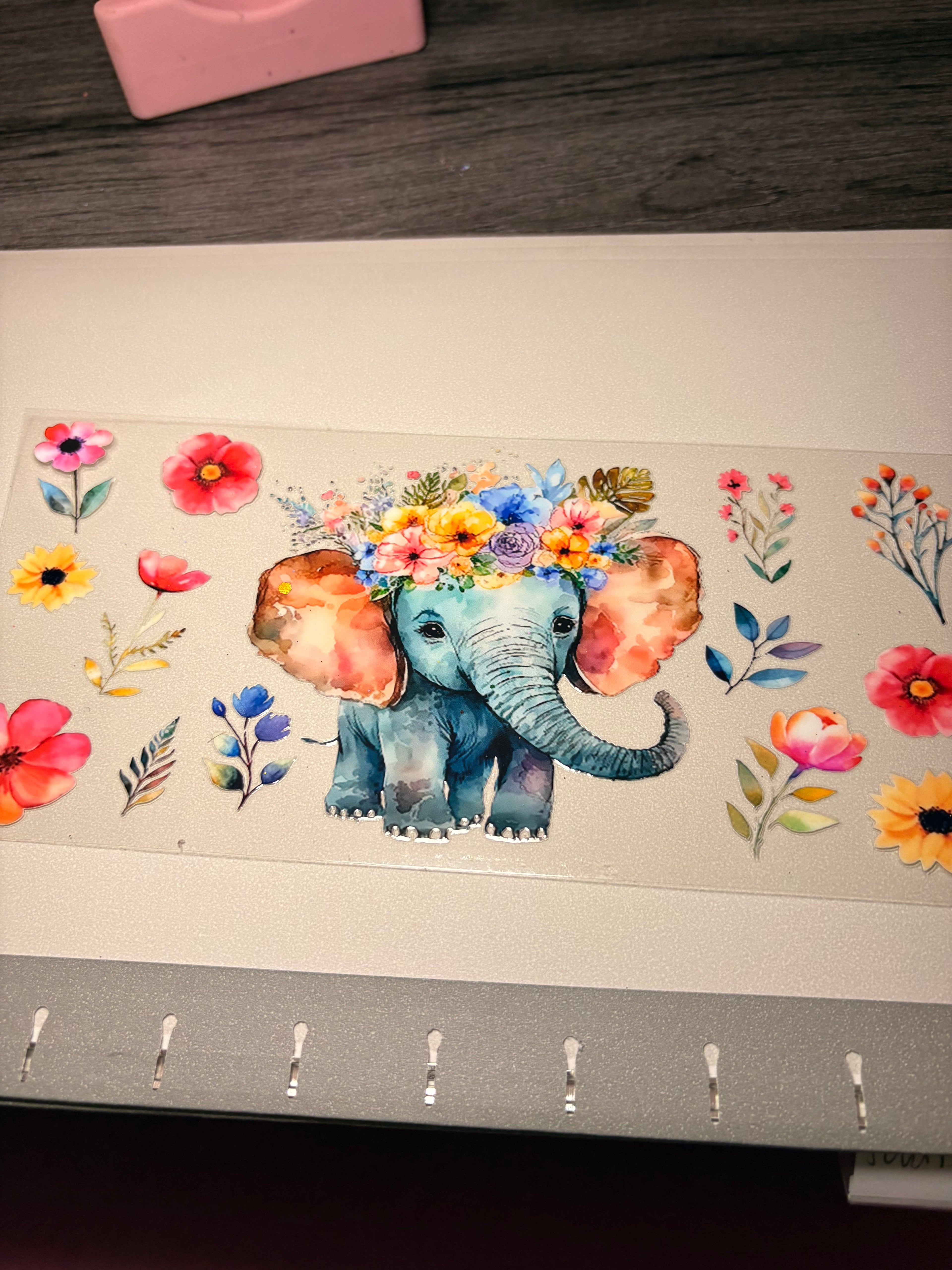 Animal/insect wraps🌵.