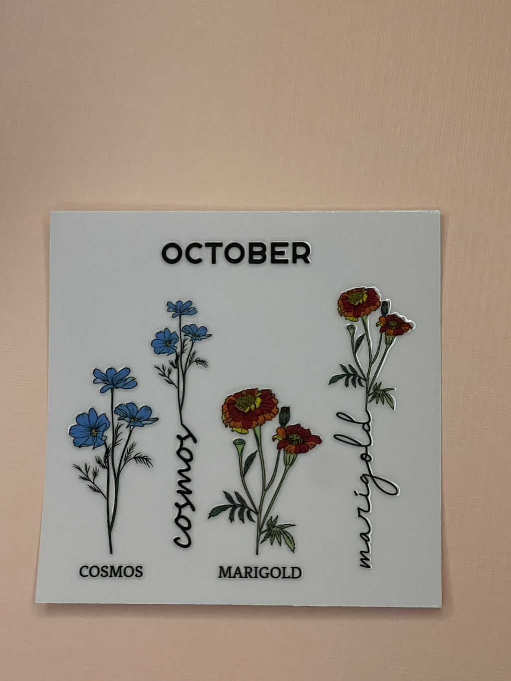 BIRTH MONTH decal