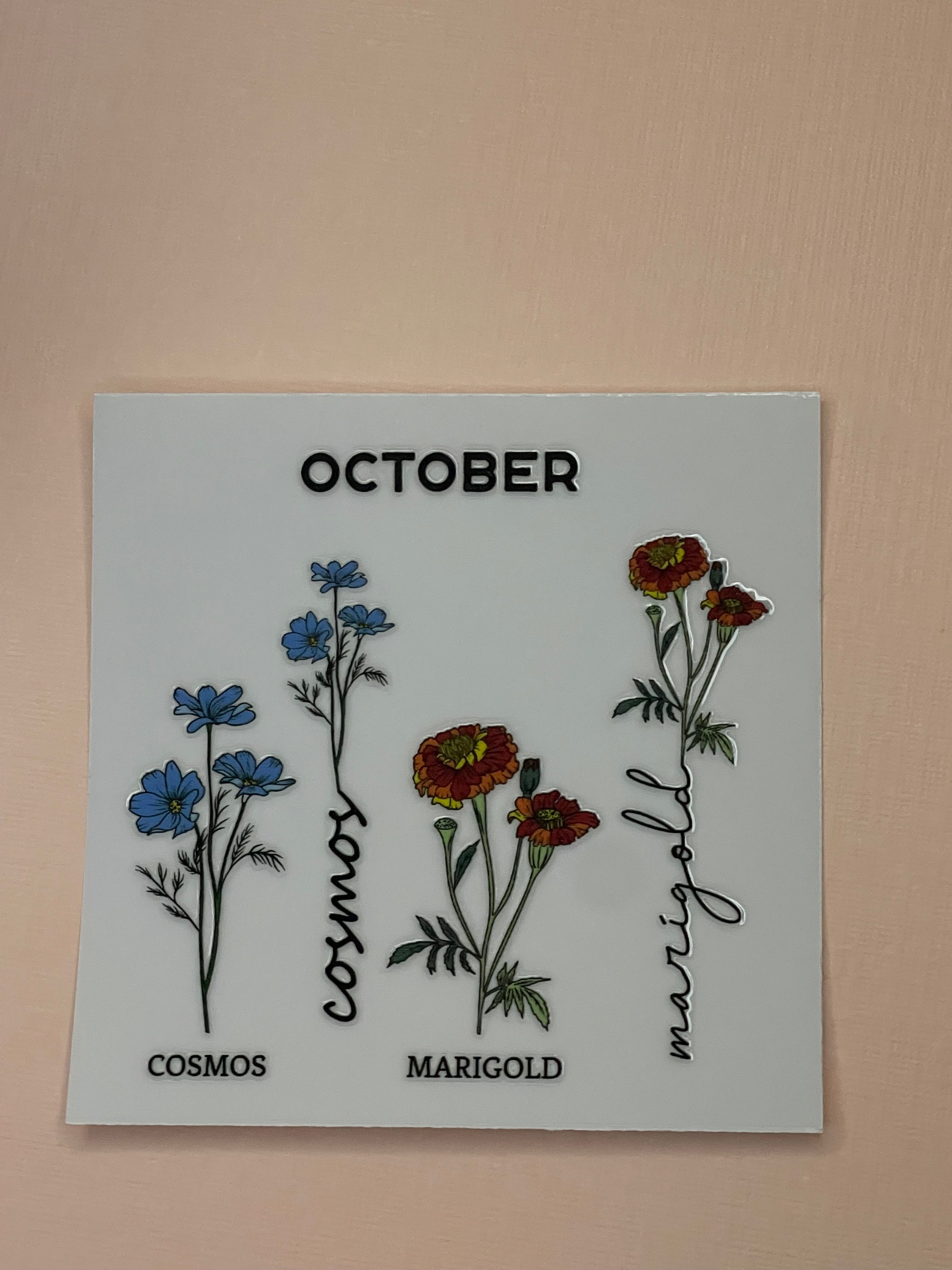 BIRTH MONTH decal