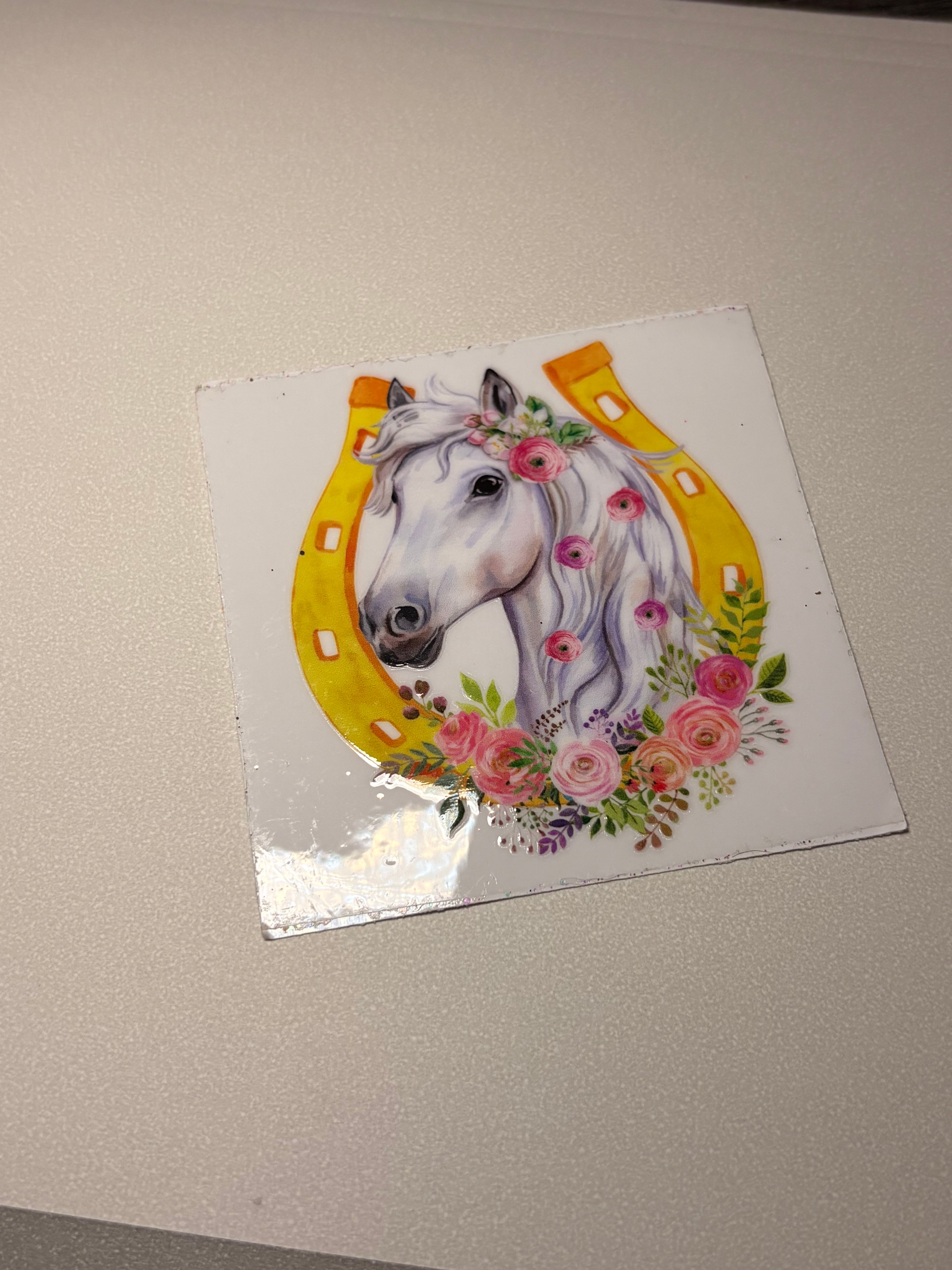 Animal/insect wraps🌵.