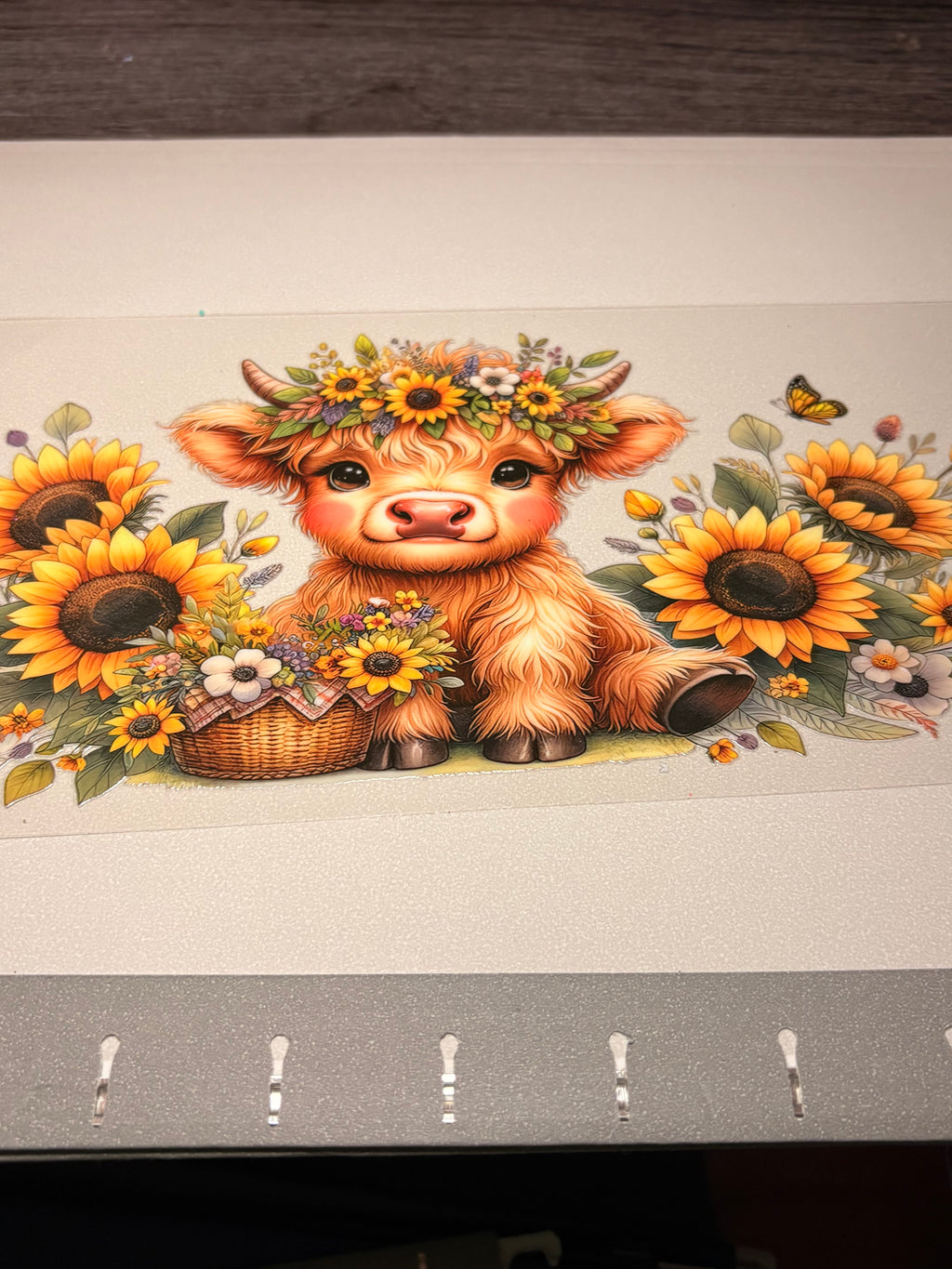 Animal/insect wraps🌵.