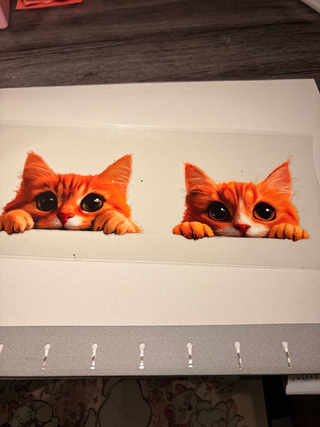 Animal/insect wraps🌵.