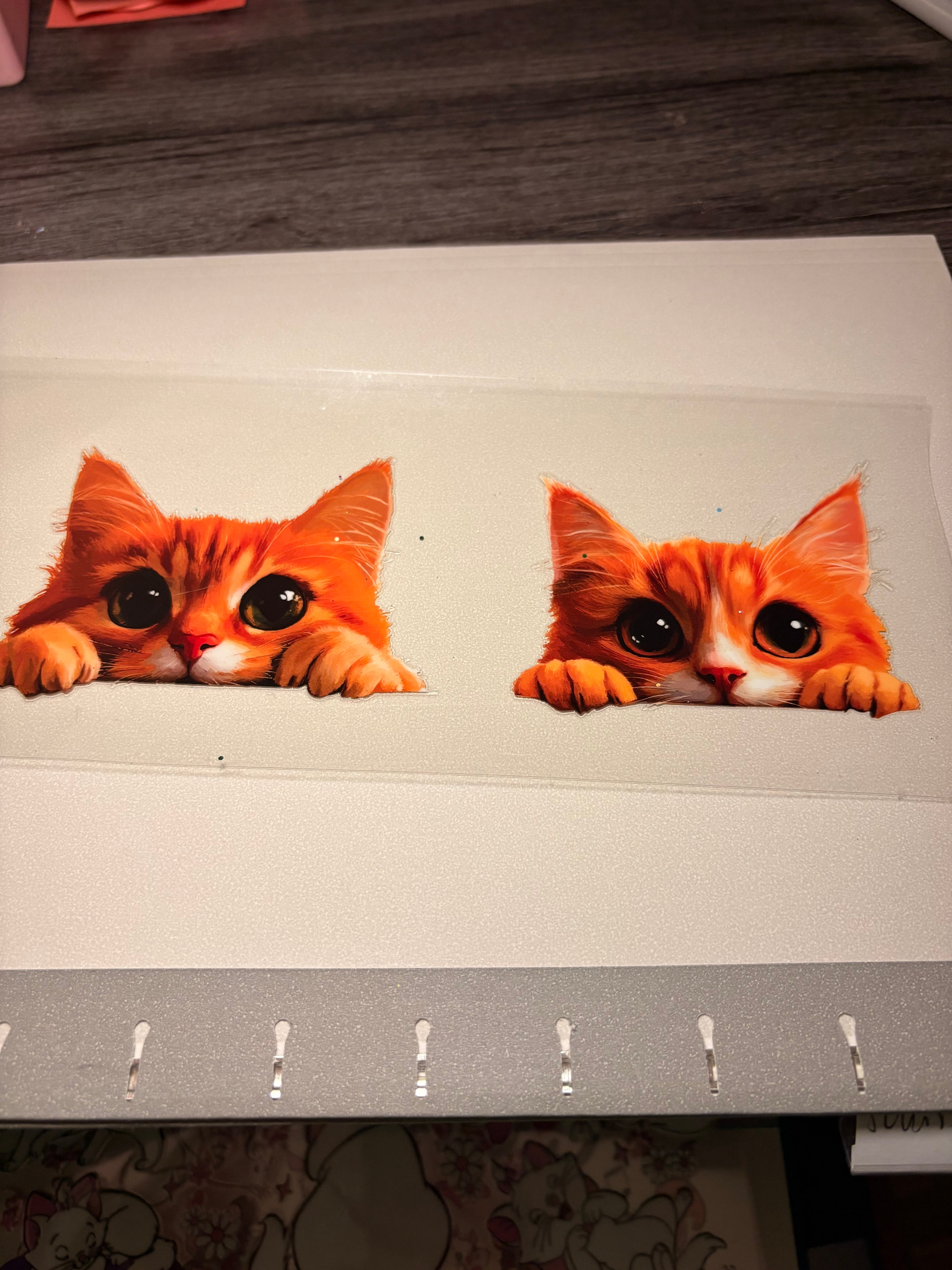 Animal/insect wraps🌵.