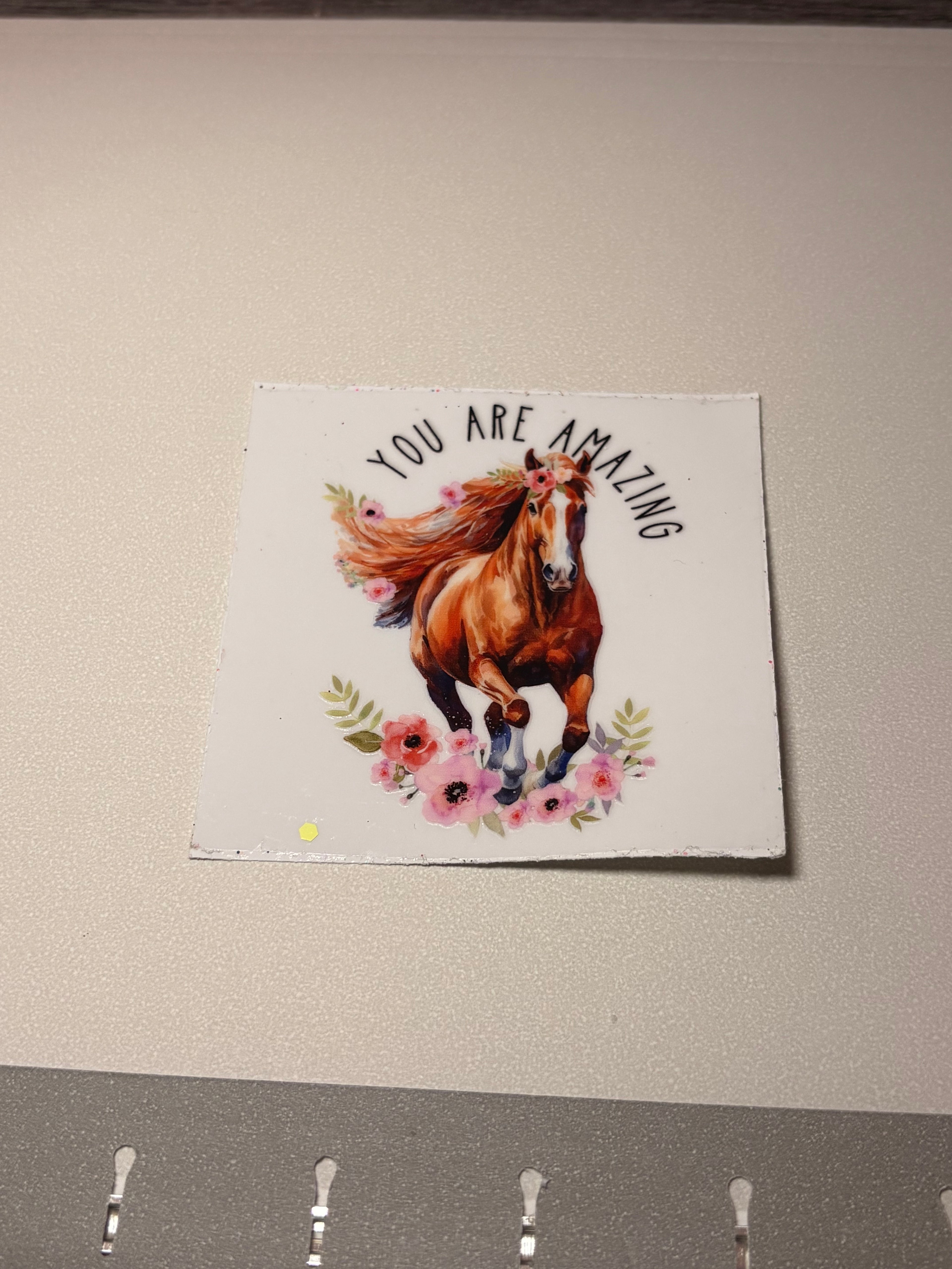 Animal/insect wraps🌵.