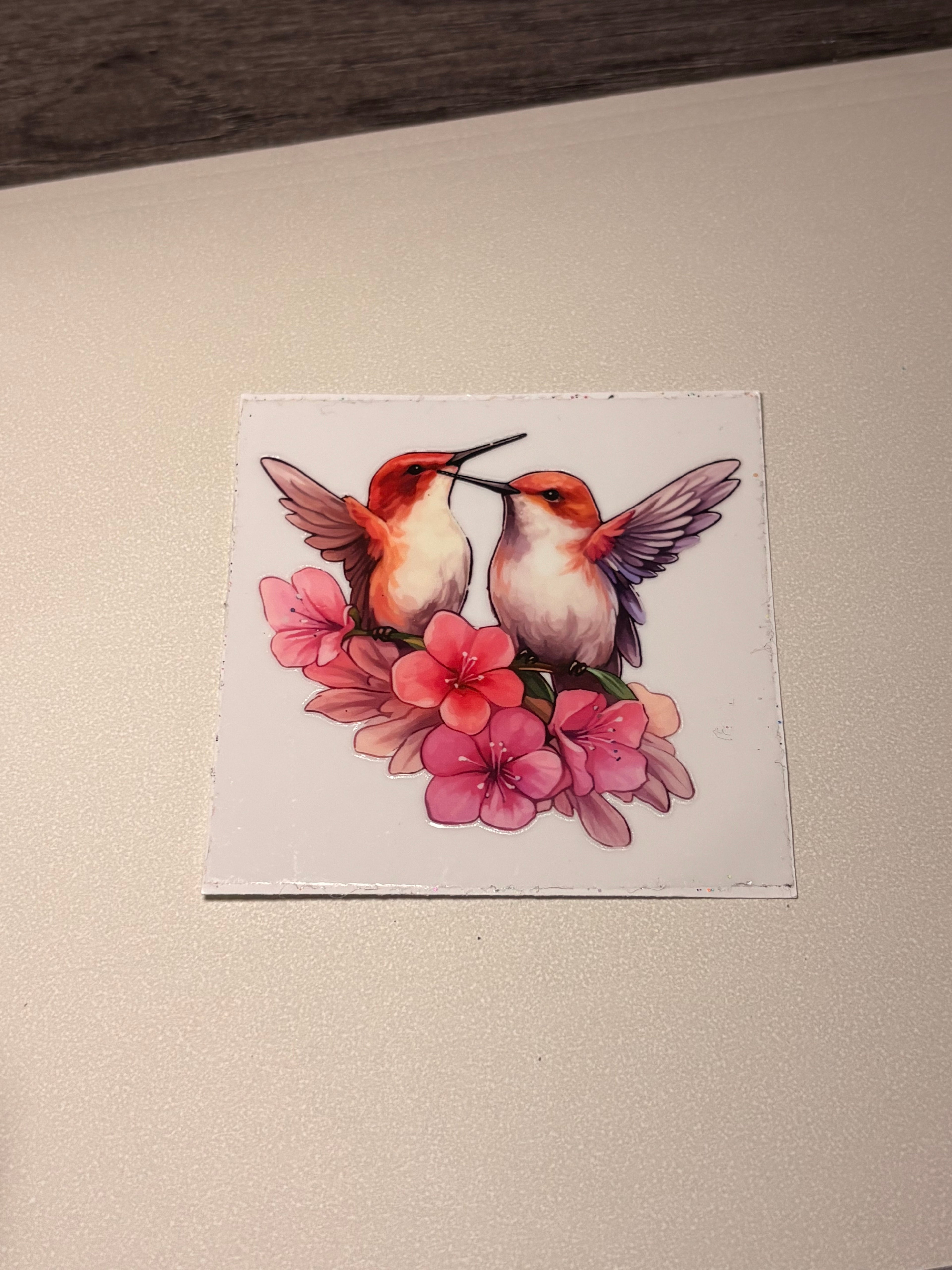 Animal/insect wraps🌵.