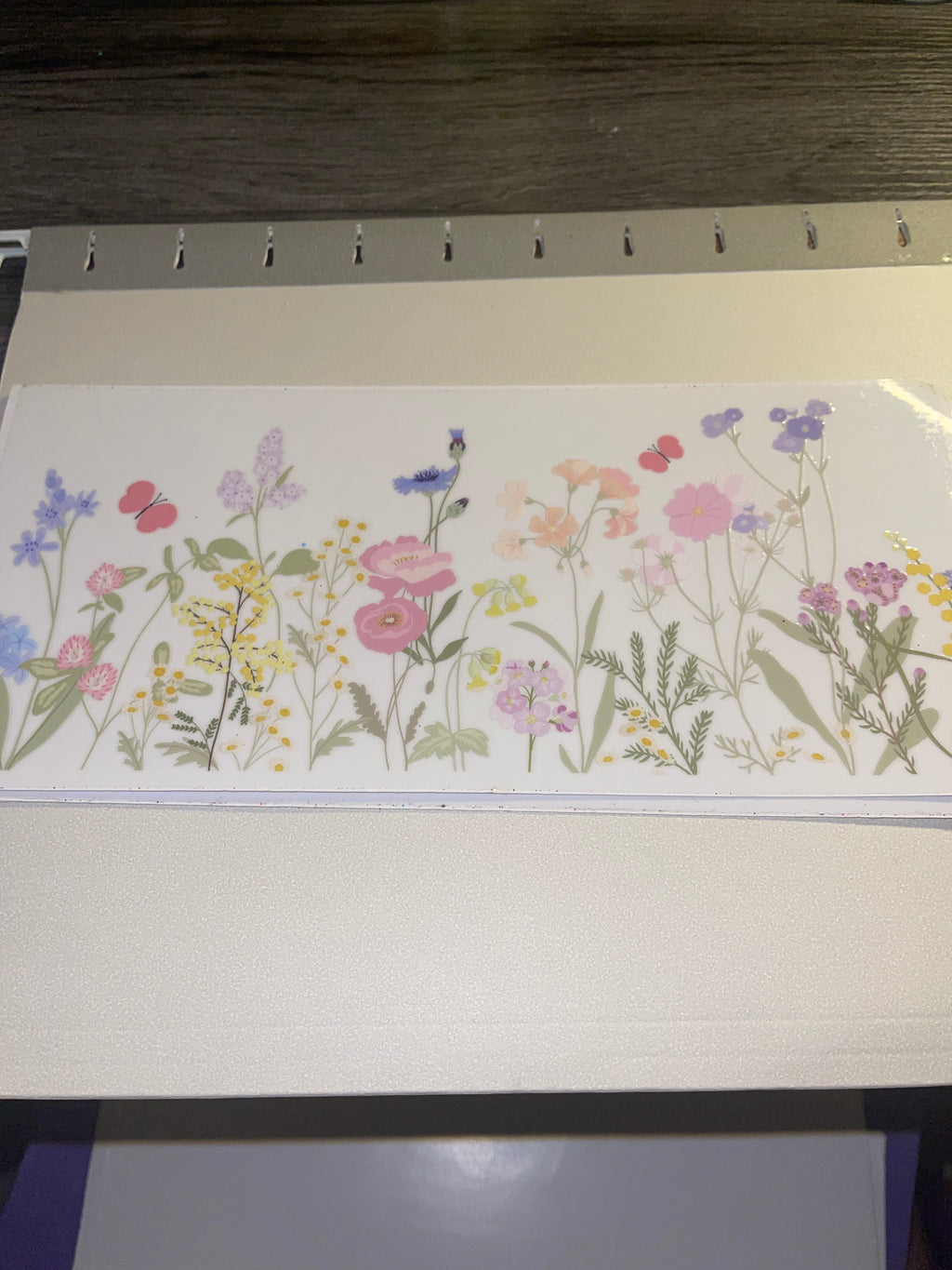 flowers/gnomes/fairy