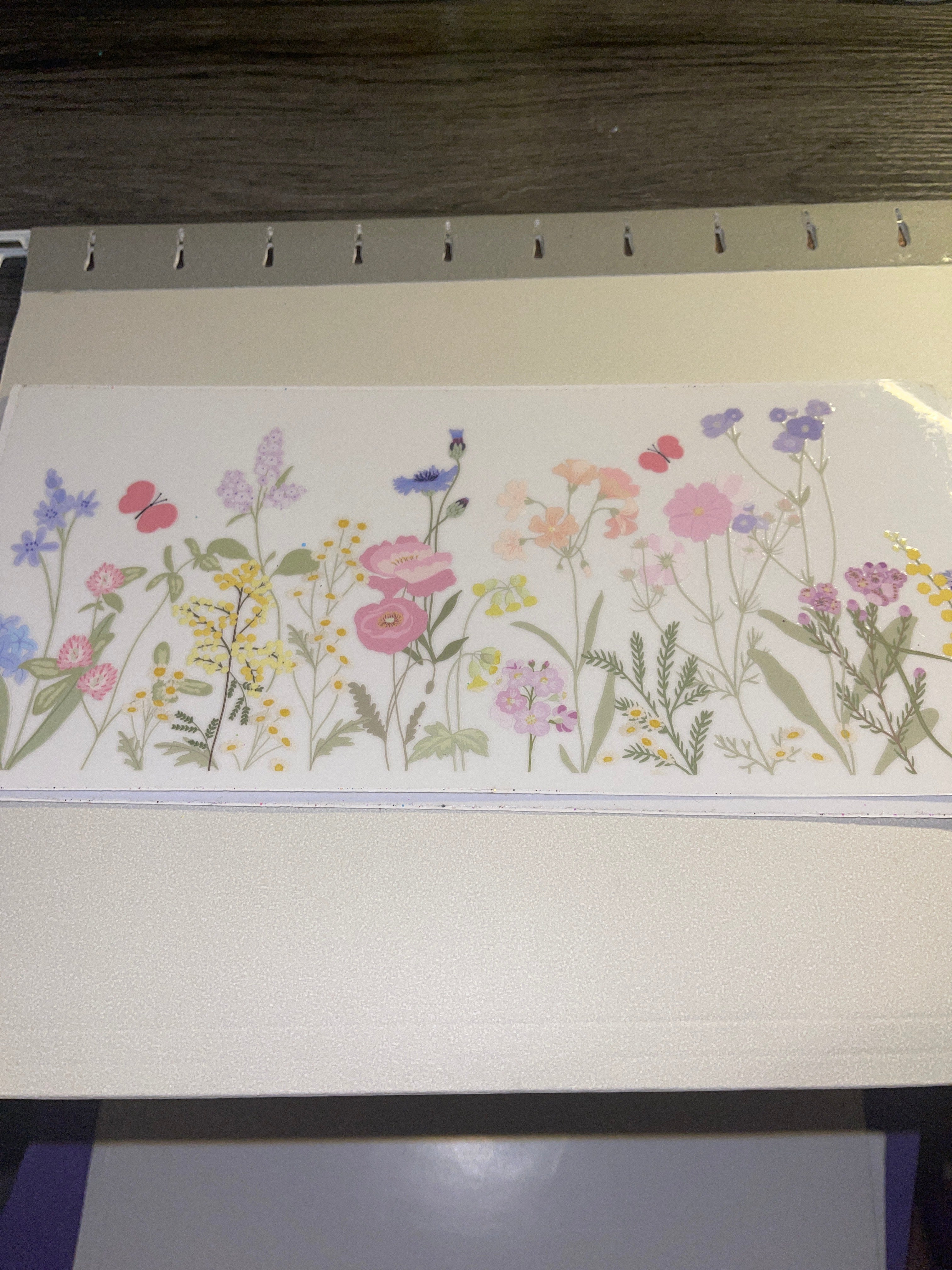 flowers/gnomes/fairy