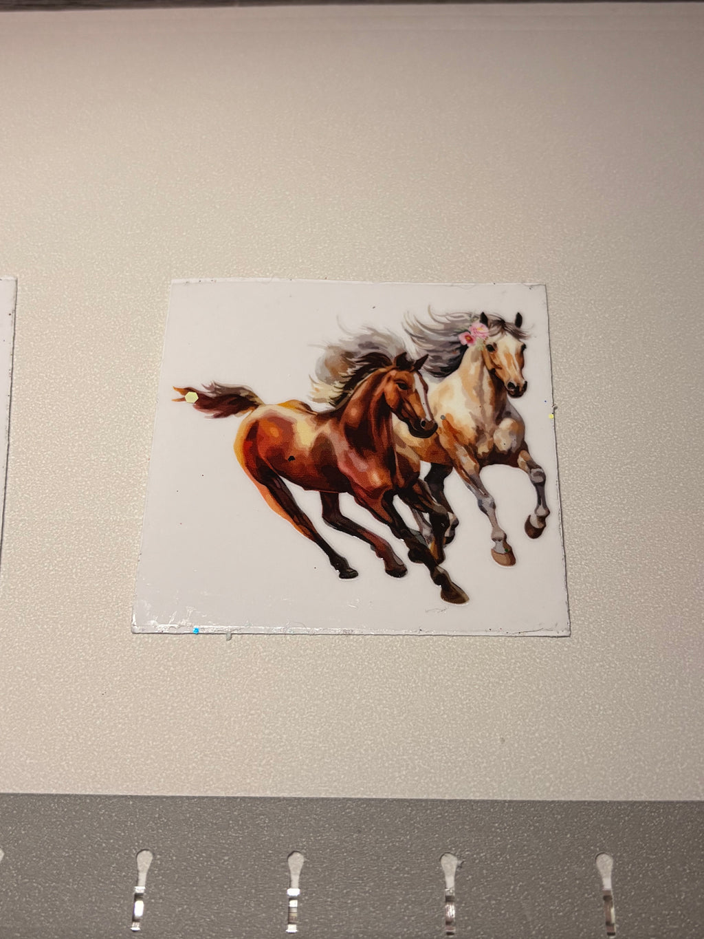 Animal/insect wraps🌵.