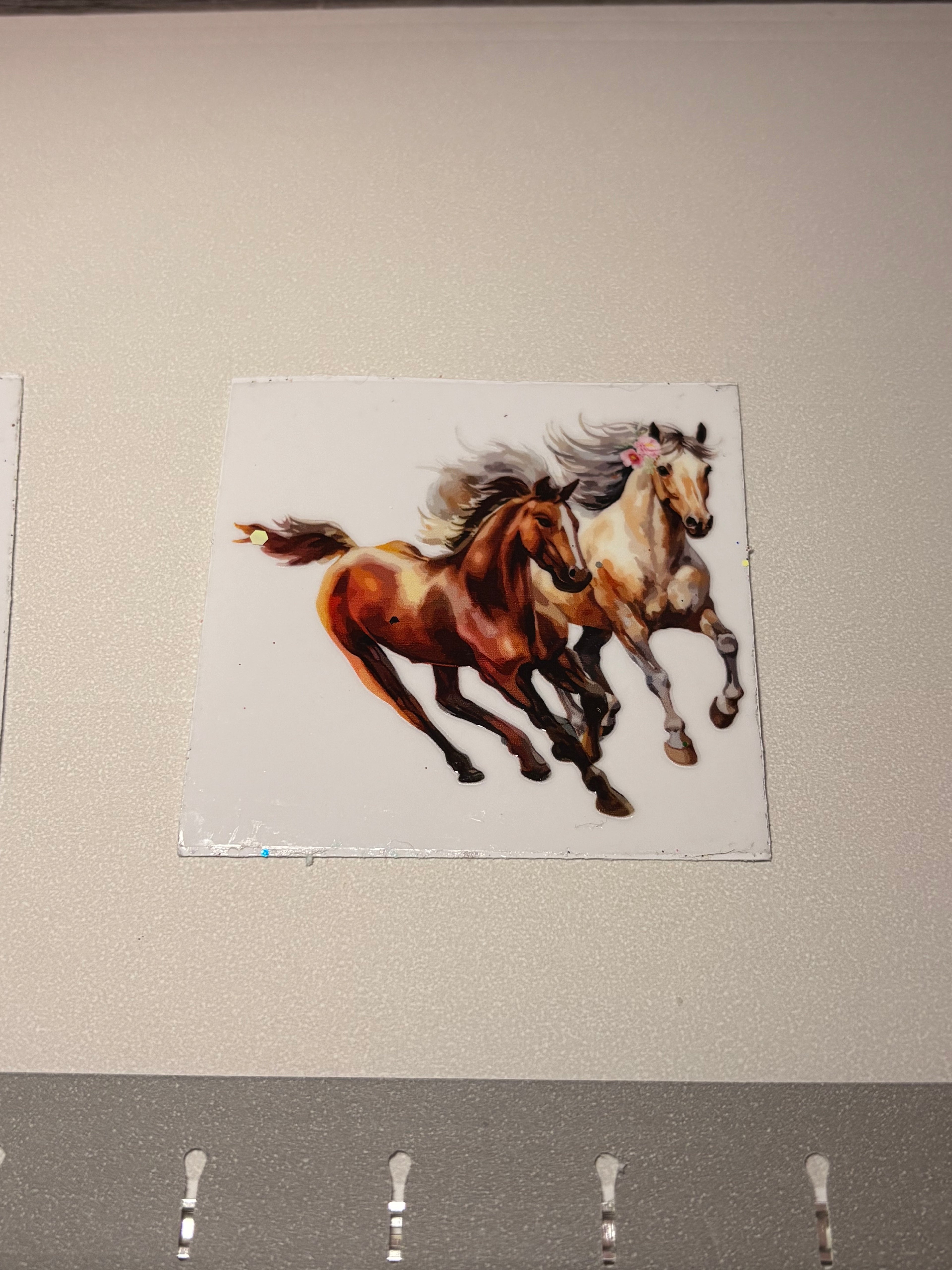 Animal/insect wraps🌵.