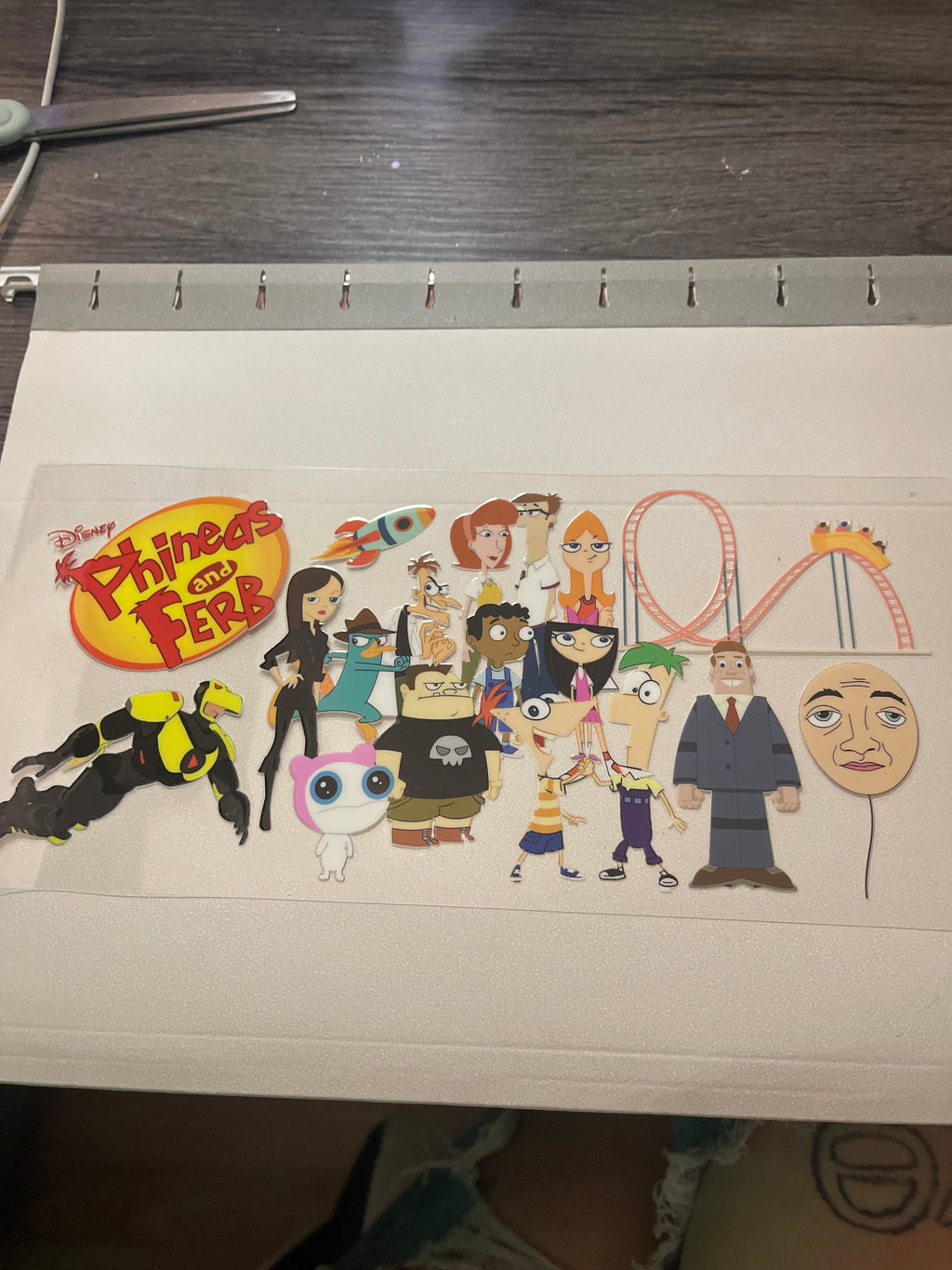 Kid movie/show wraps