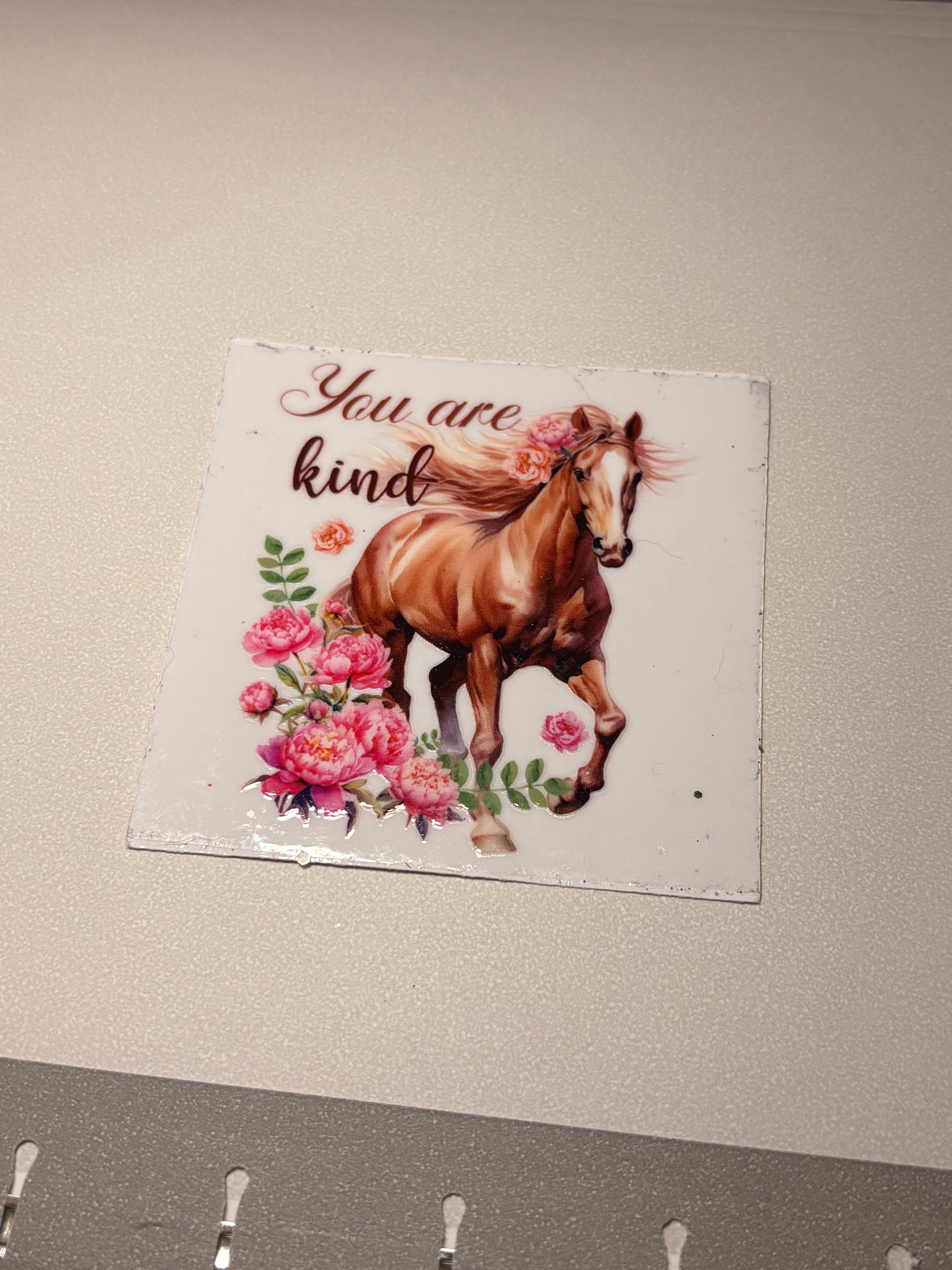 Animal/insect wraps🌵.