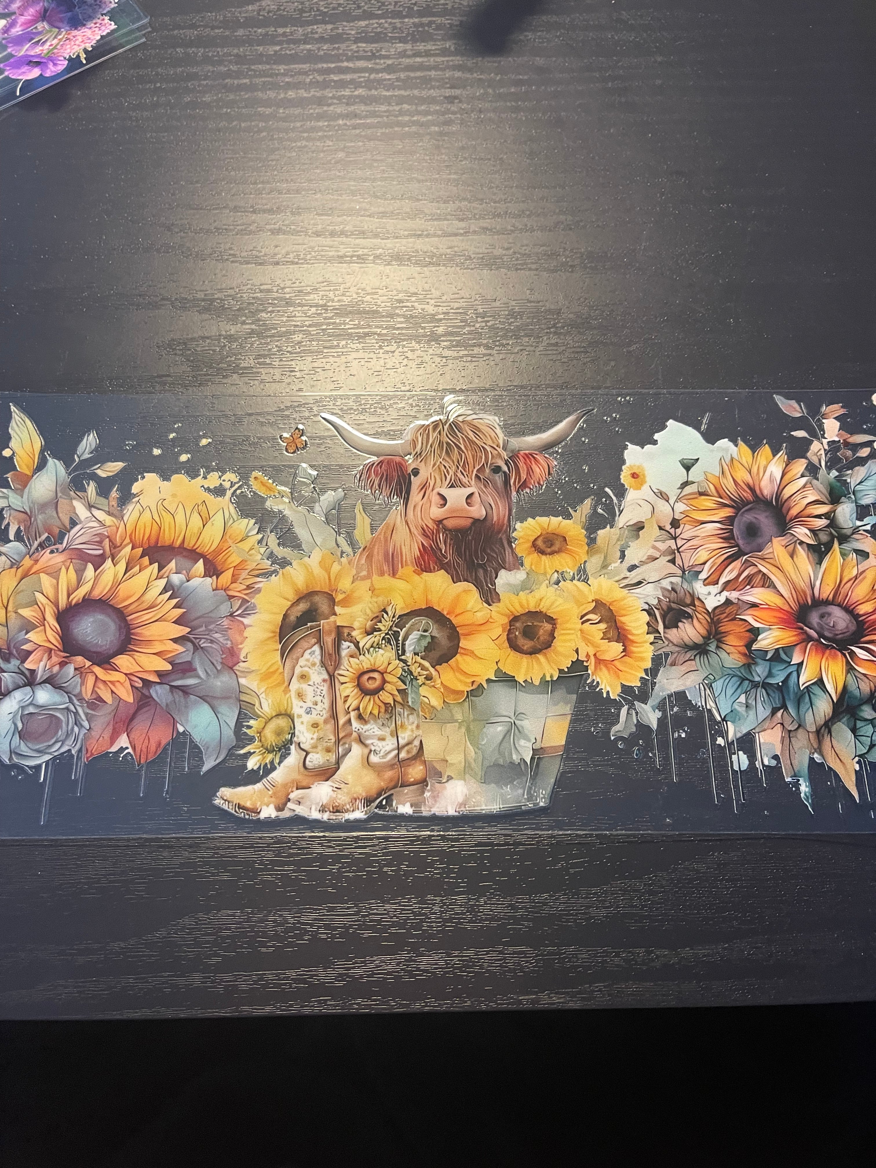 Animals