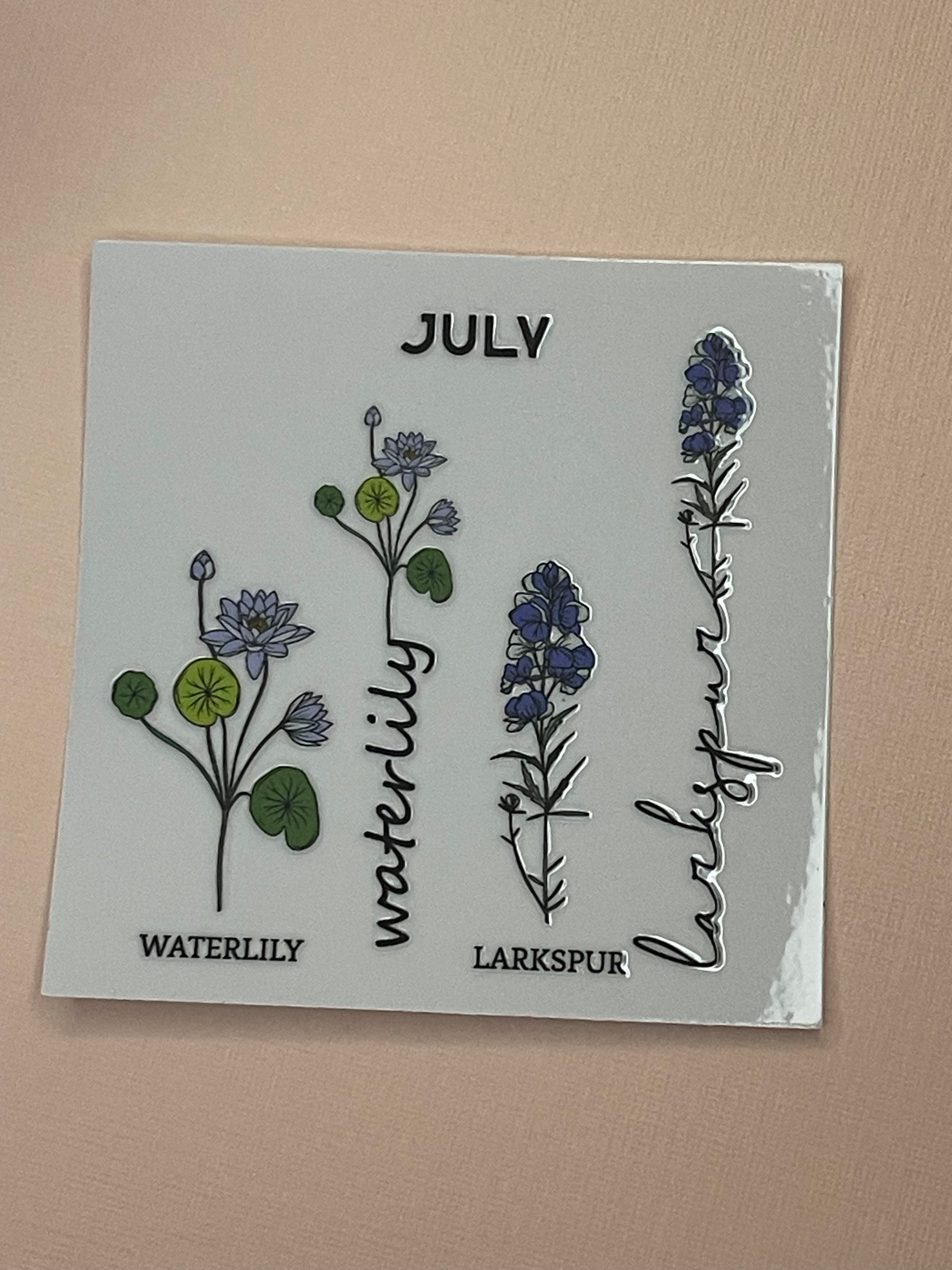 BIRTH MONTH decal