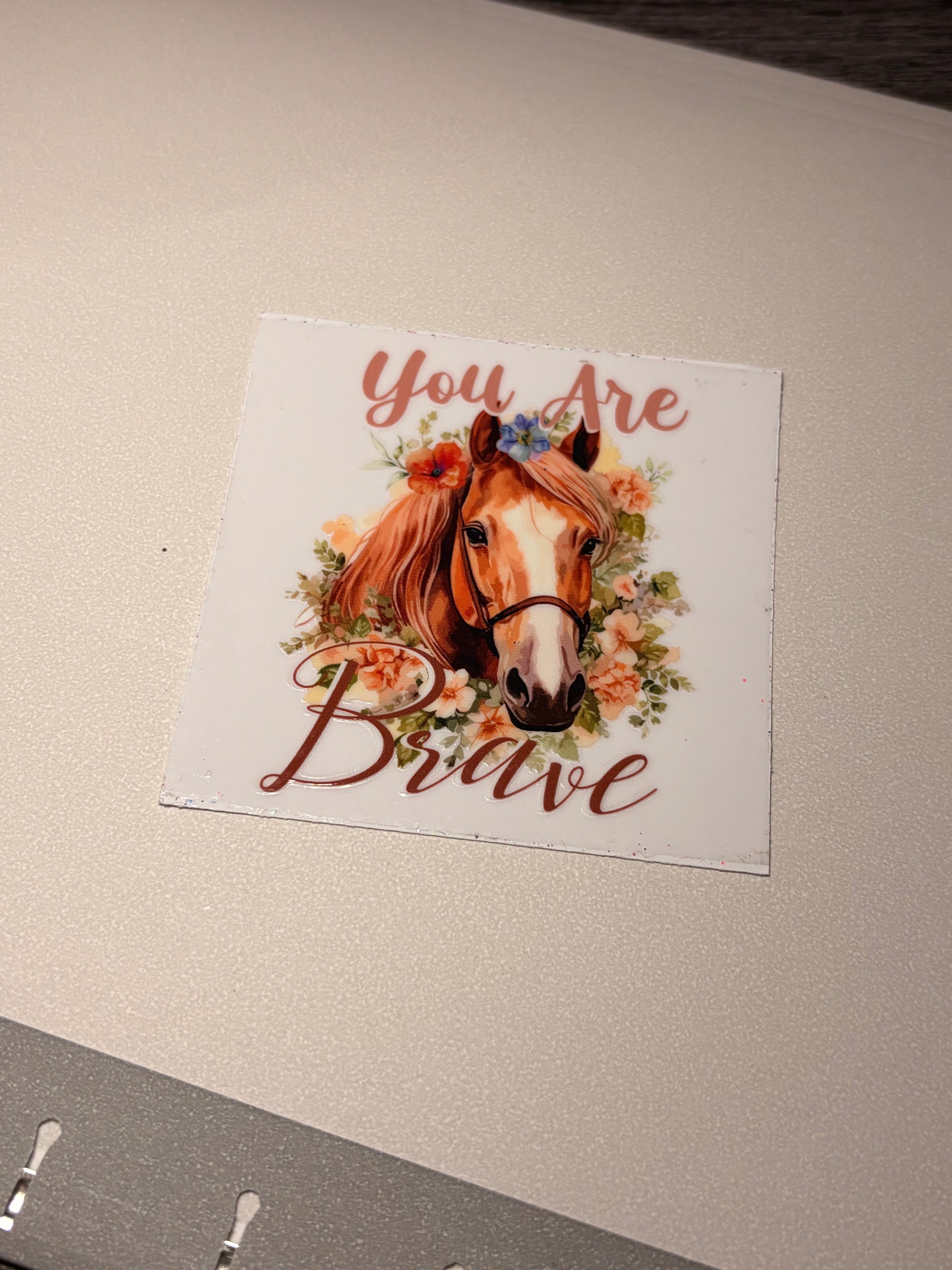 Animal/insect wraps🌵.