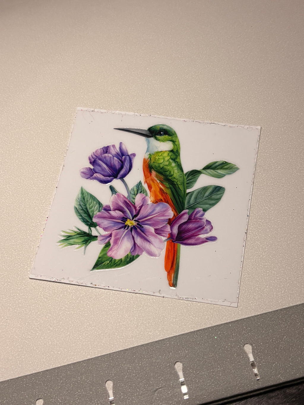 Animal/insect wraps🌵.