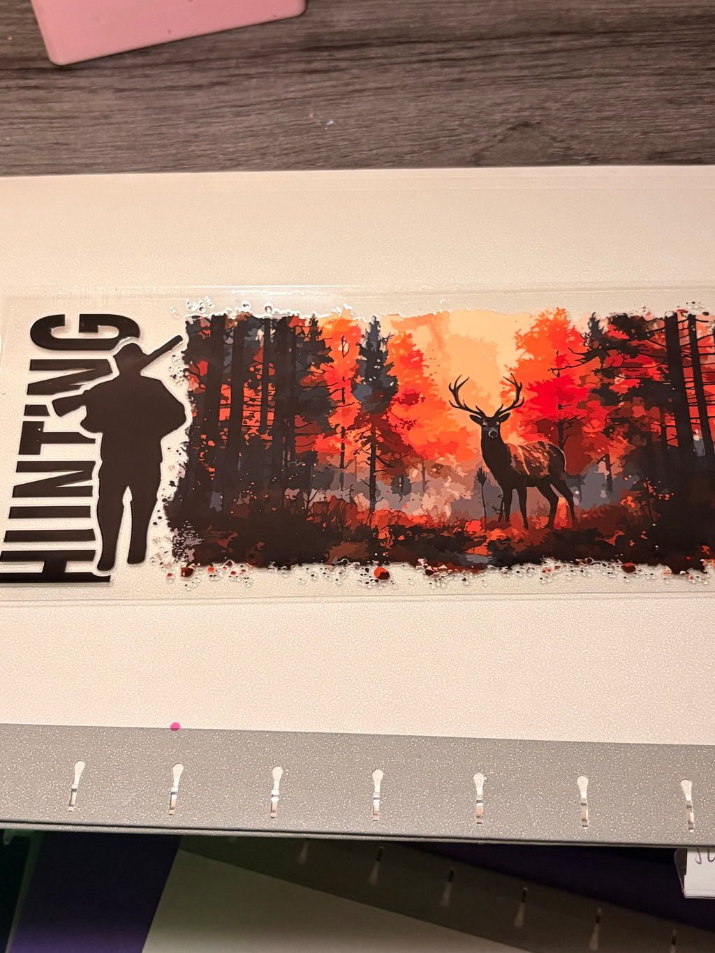 Animal/insect wraps🌵.