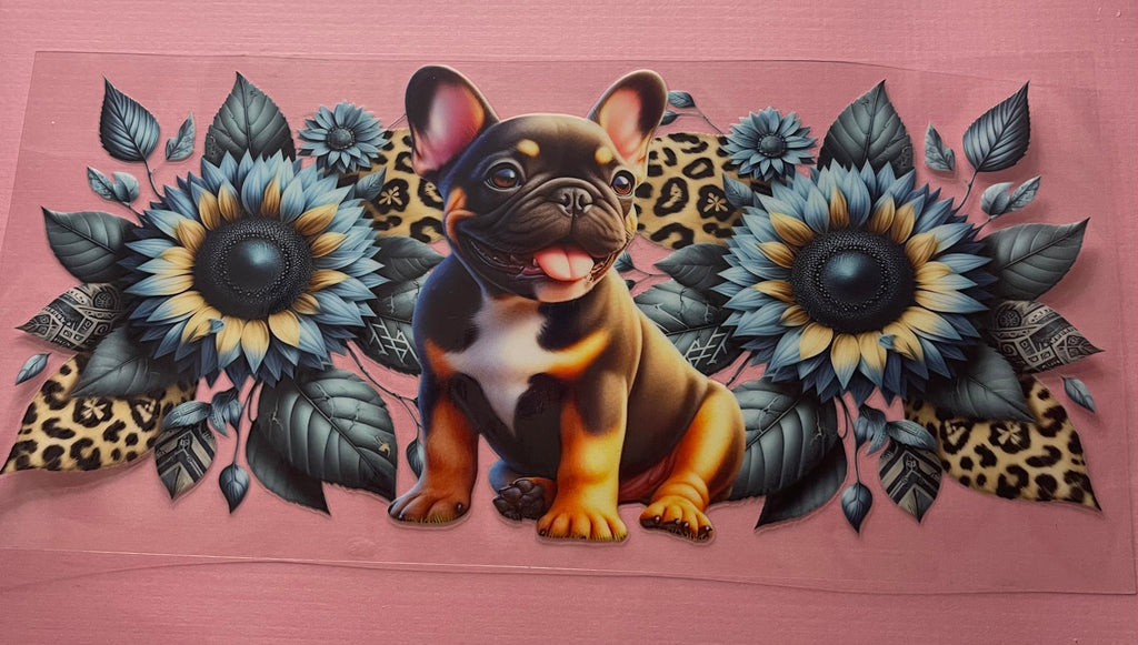 DOG wrap
