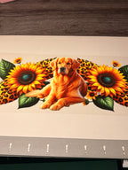 Animal/insect wraps🌵.