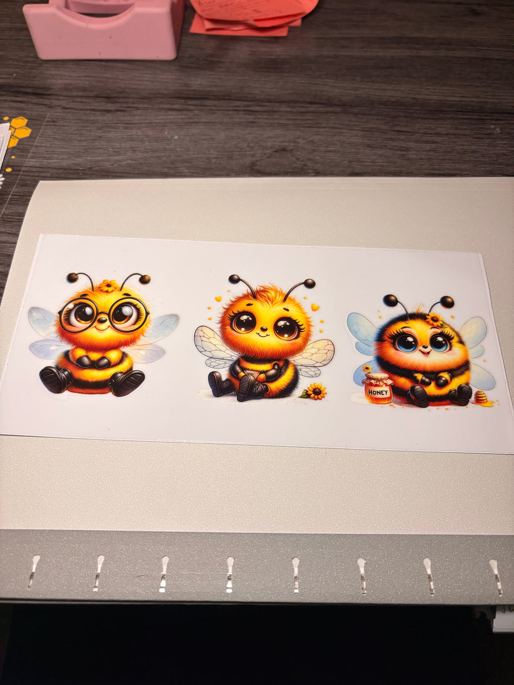 Animal/insect wraps🌵.