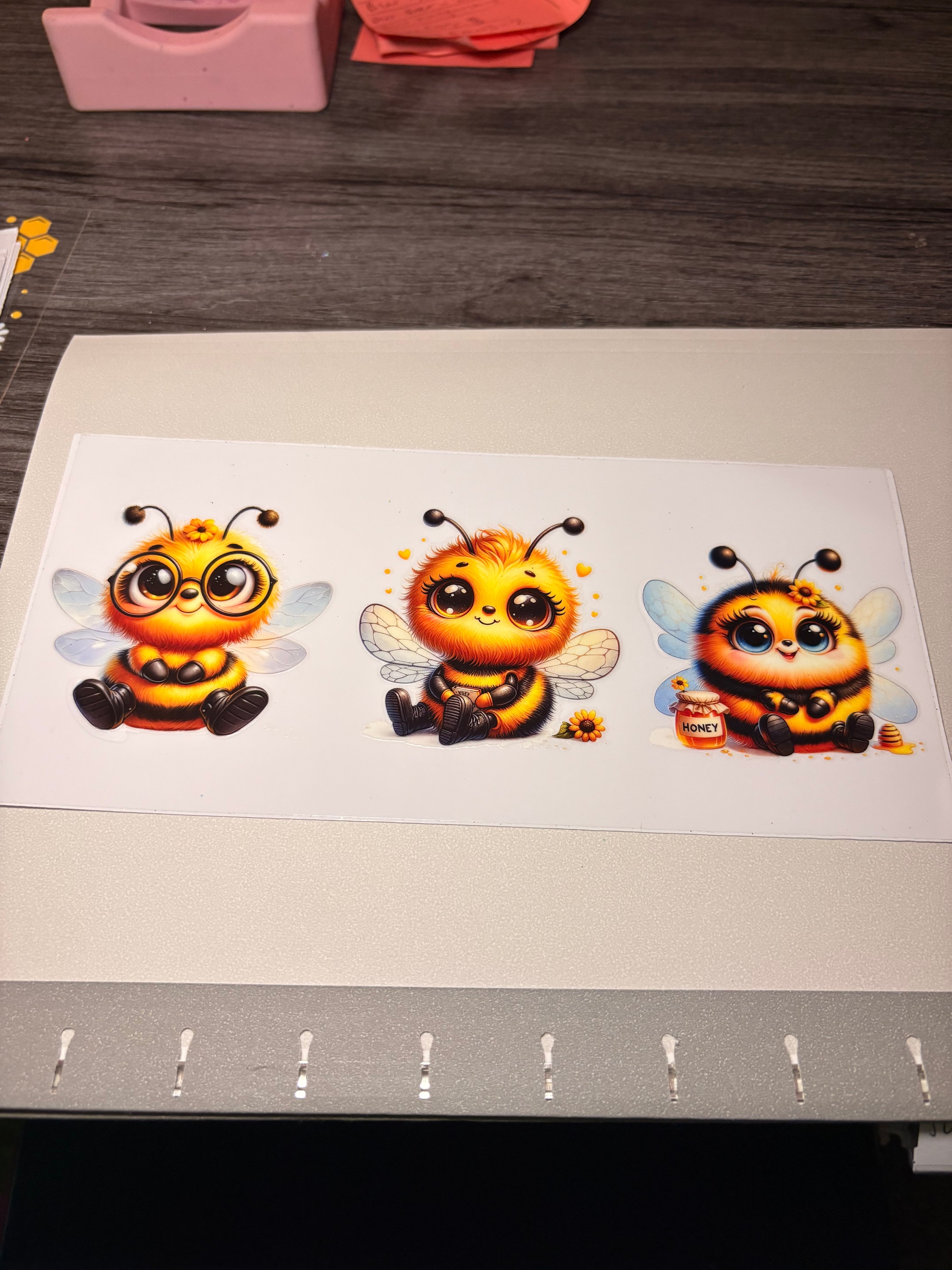 Animal/insect wraps🌵.