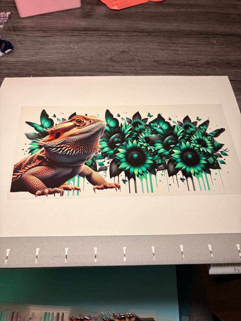 Animal/insect wraps🌵.