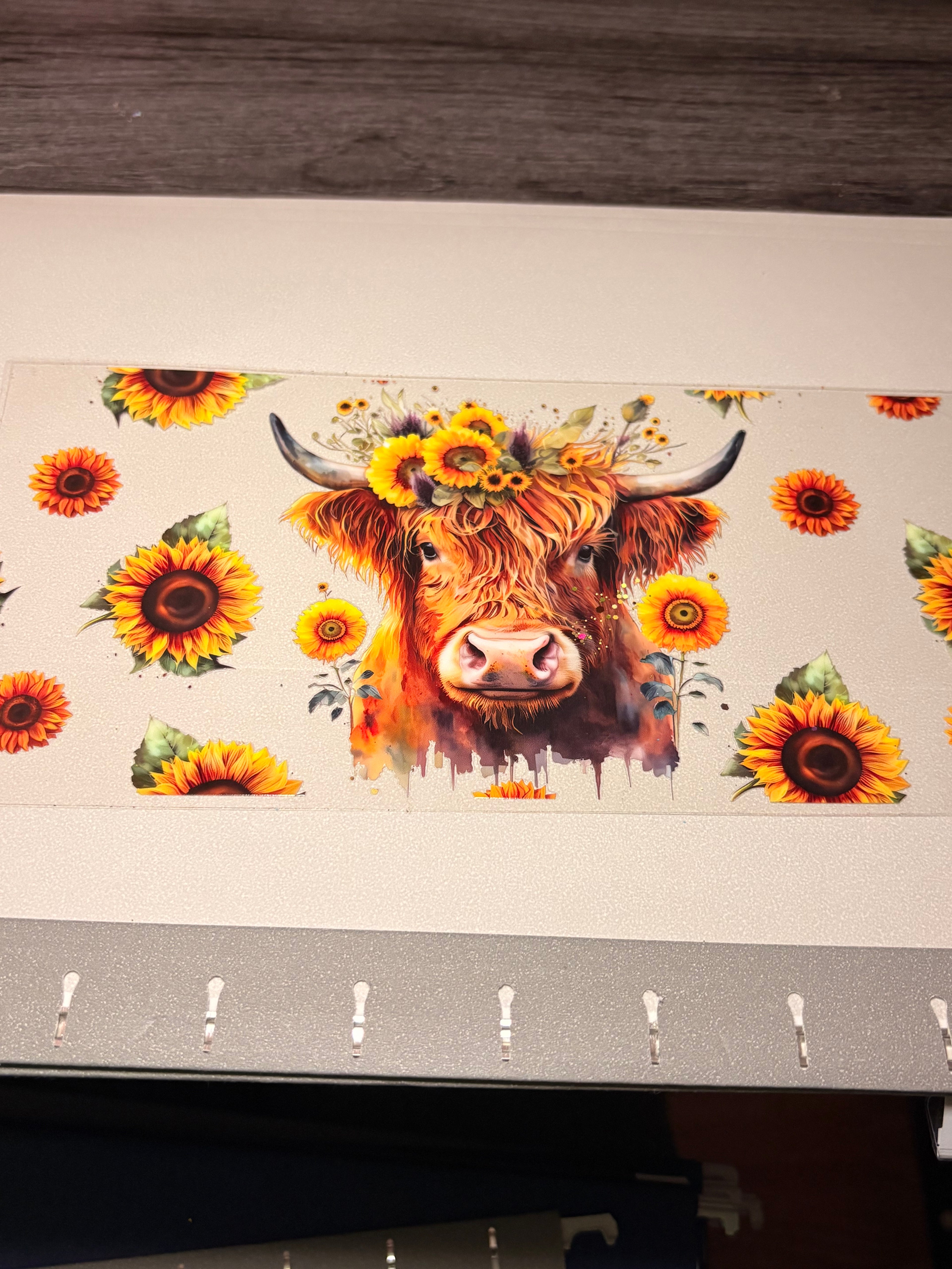 Animal/insect wraps🌵.