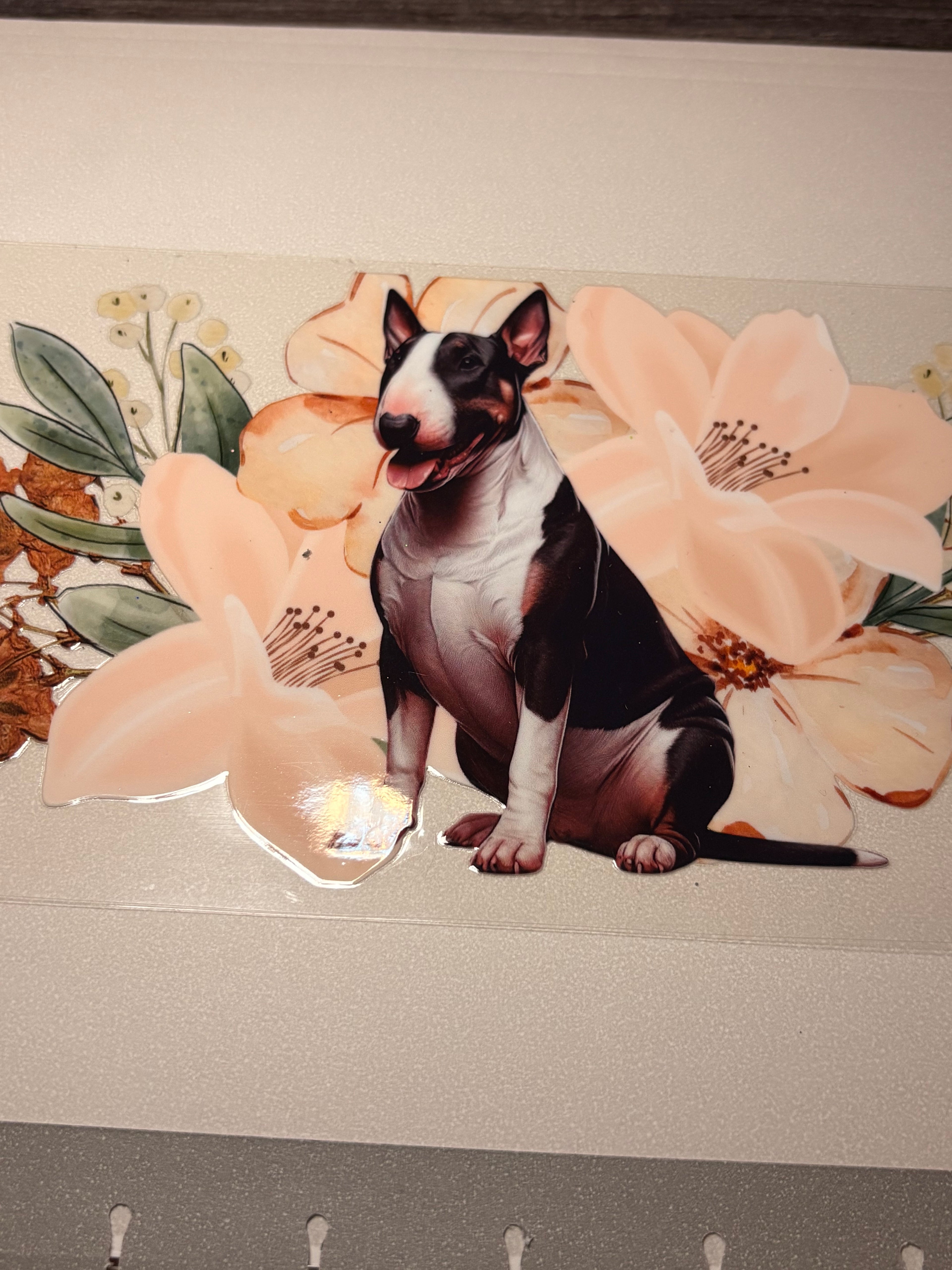 Animal/insect wraps🌵.