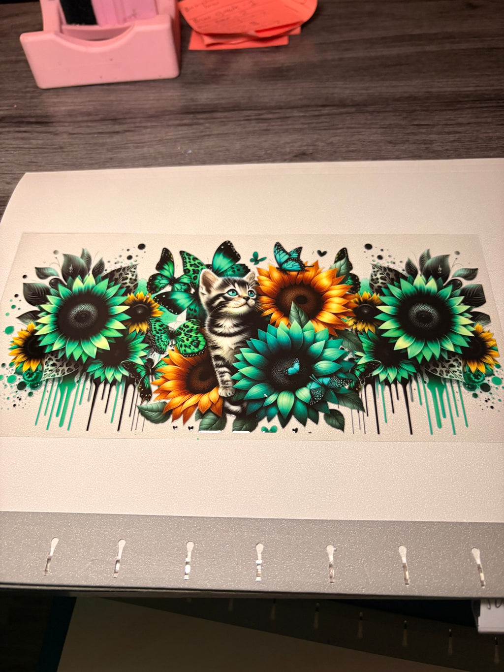 Animal/insect wraps🌵.