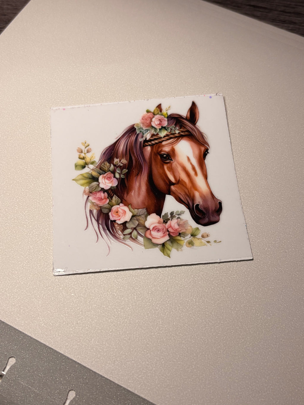 Animal/insect wraps🌵.