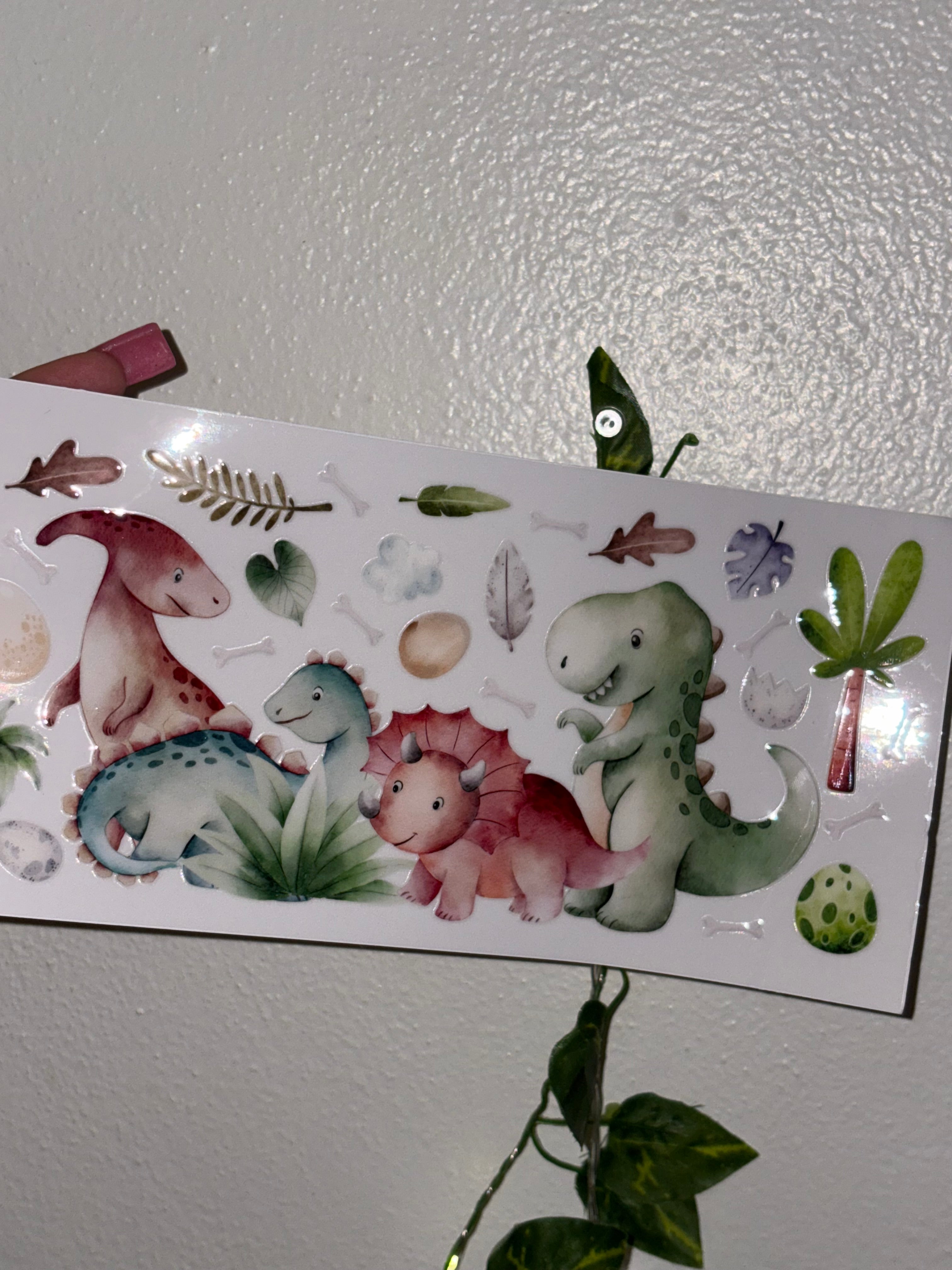 Dinasour wraps