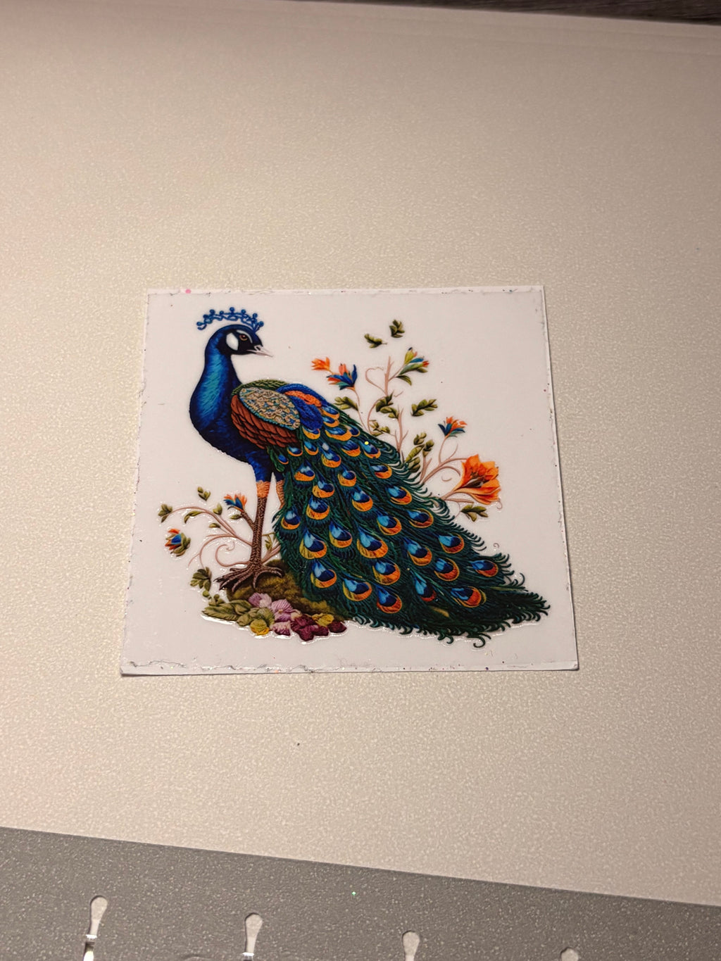 Animal/insect wraps🌵.